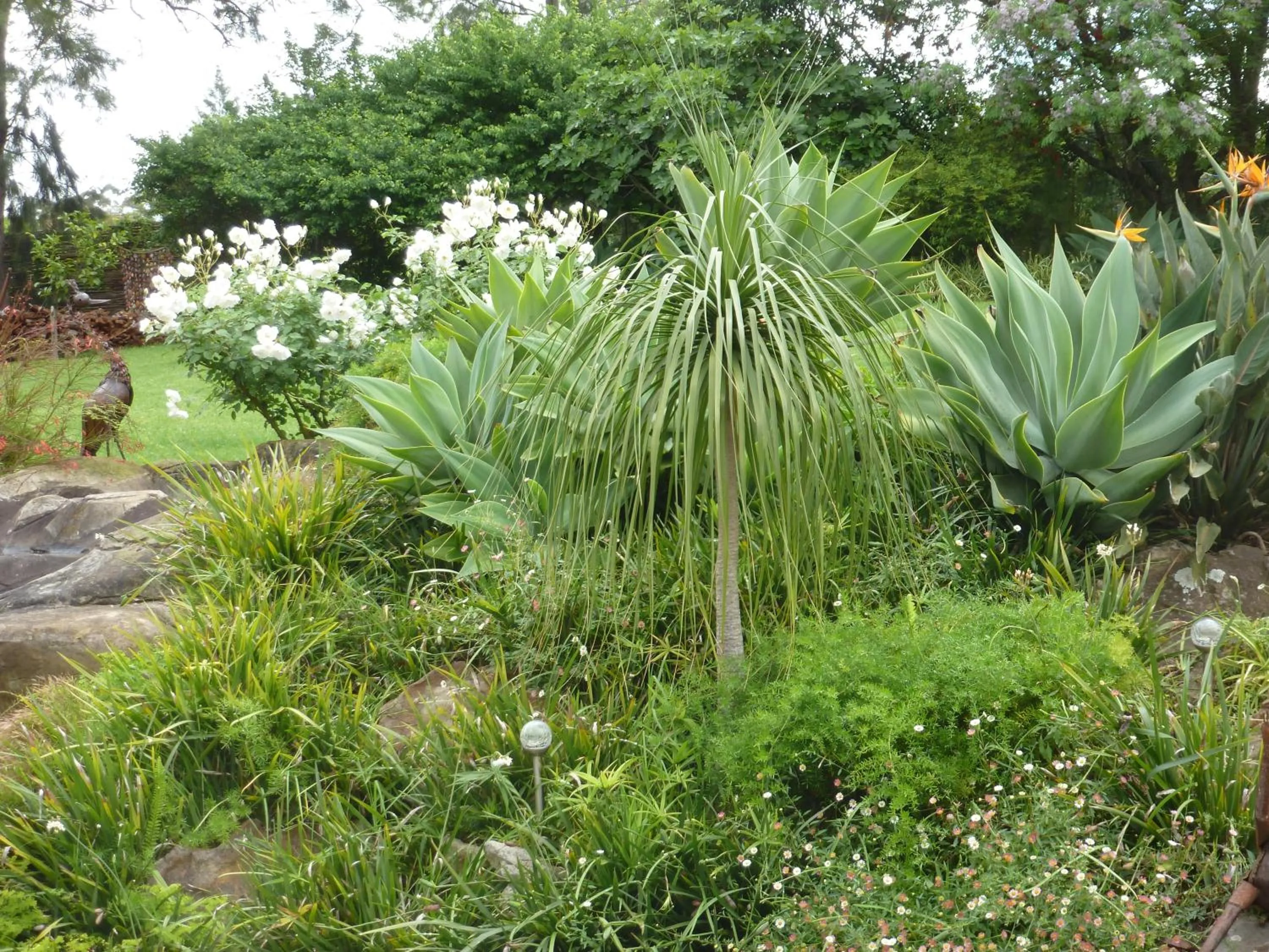 Garden in Marula Lodge