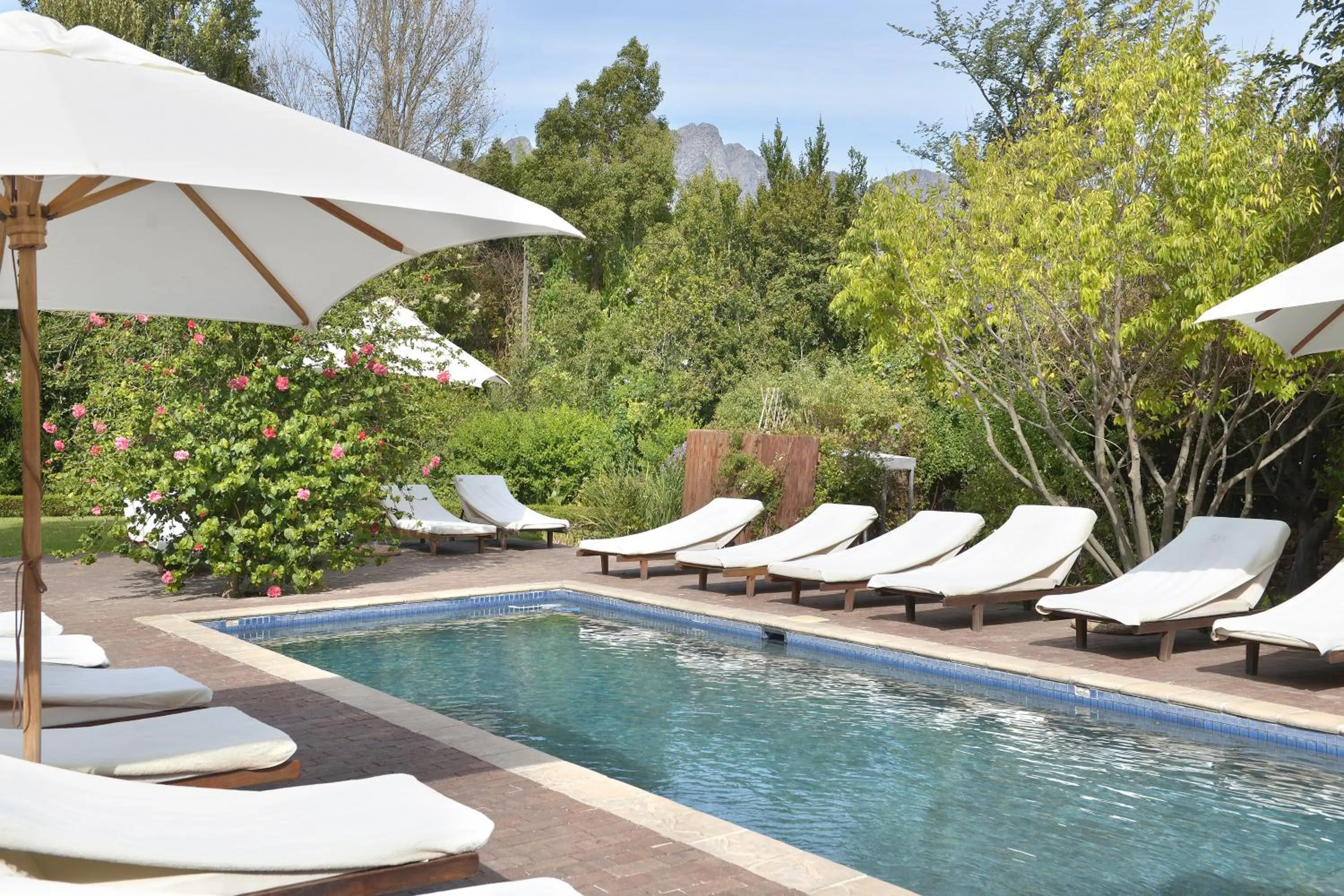 Garden in Plumwood Boutique Hotel by The Living Journey Collection