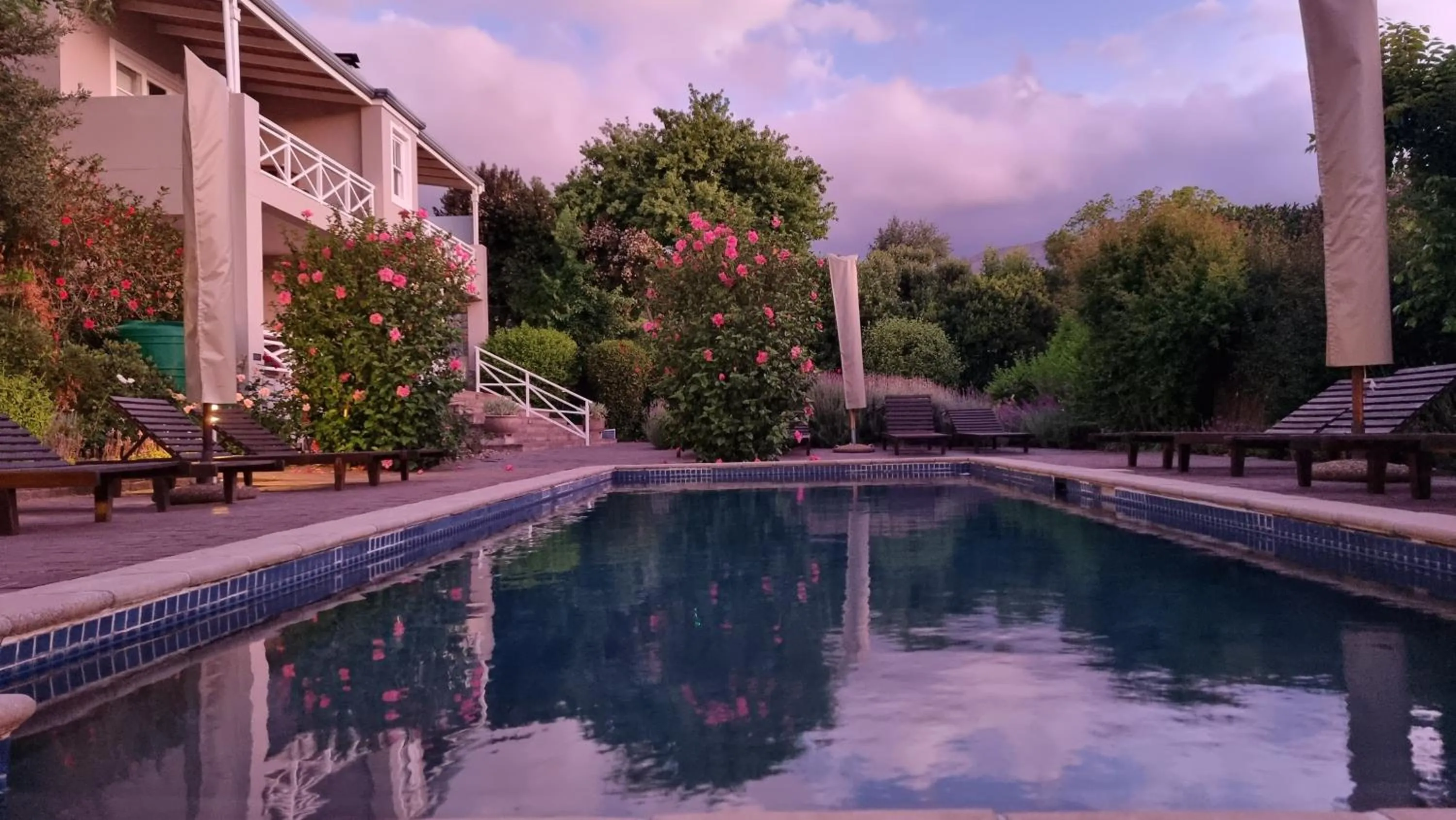 Swimming pool in Plumwood Boutique Hotel by The Living Journey Collection