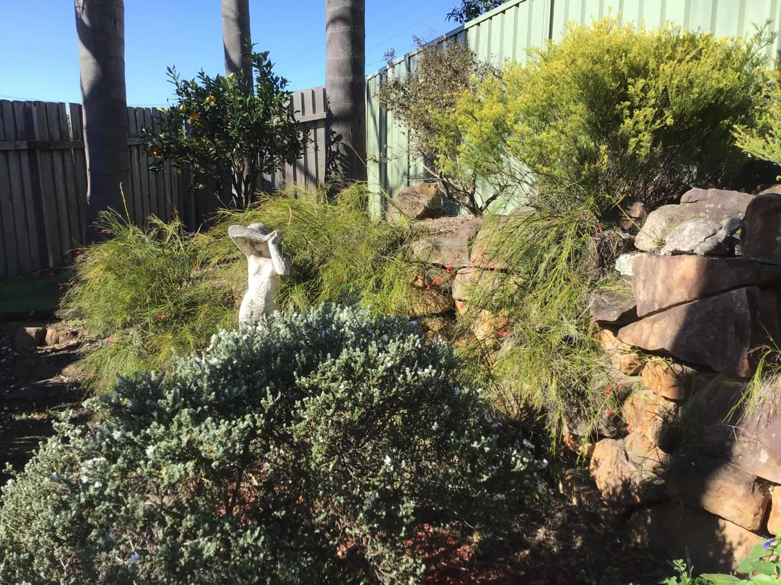 Serenity by the Lake