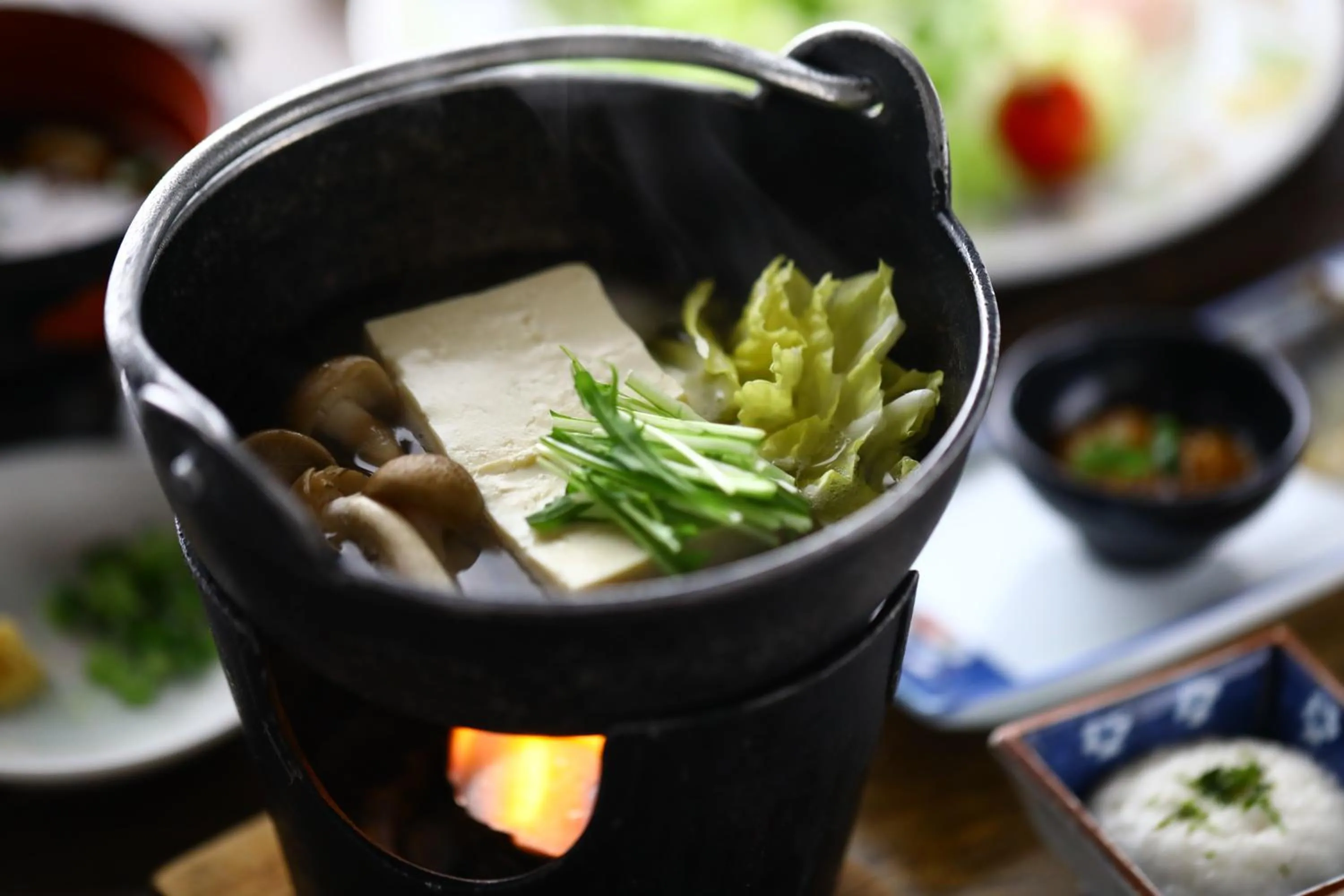 Food in Tateshina Park Hotel