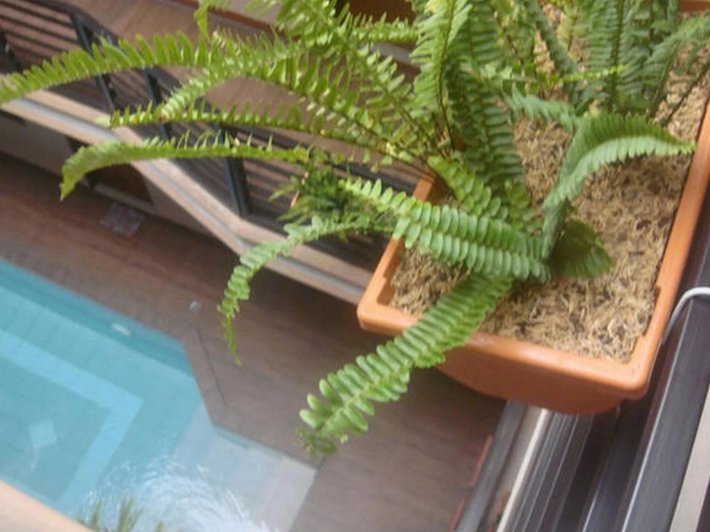 Day in Hidden Pearl Hotel (Janus Luxury Suites)