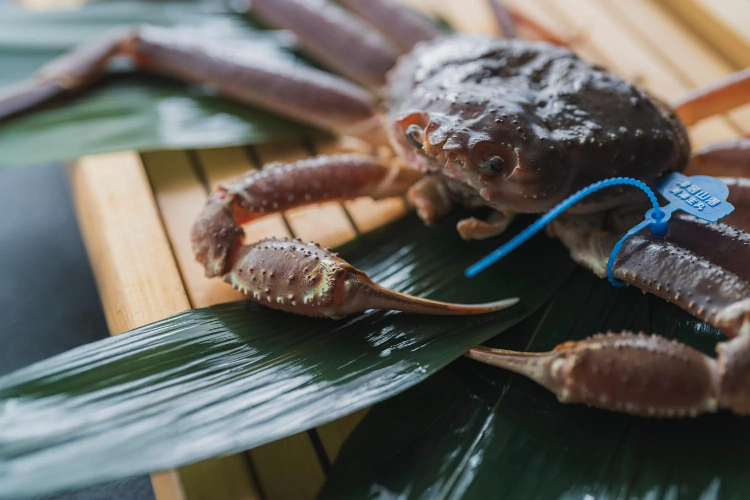 Food in Shinzan Kinosaki