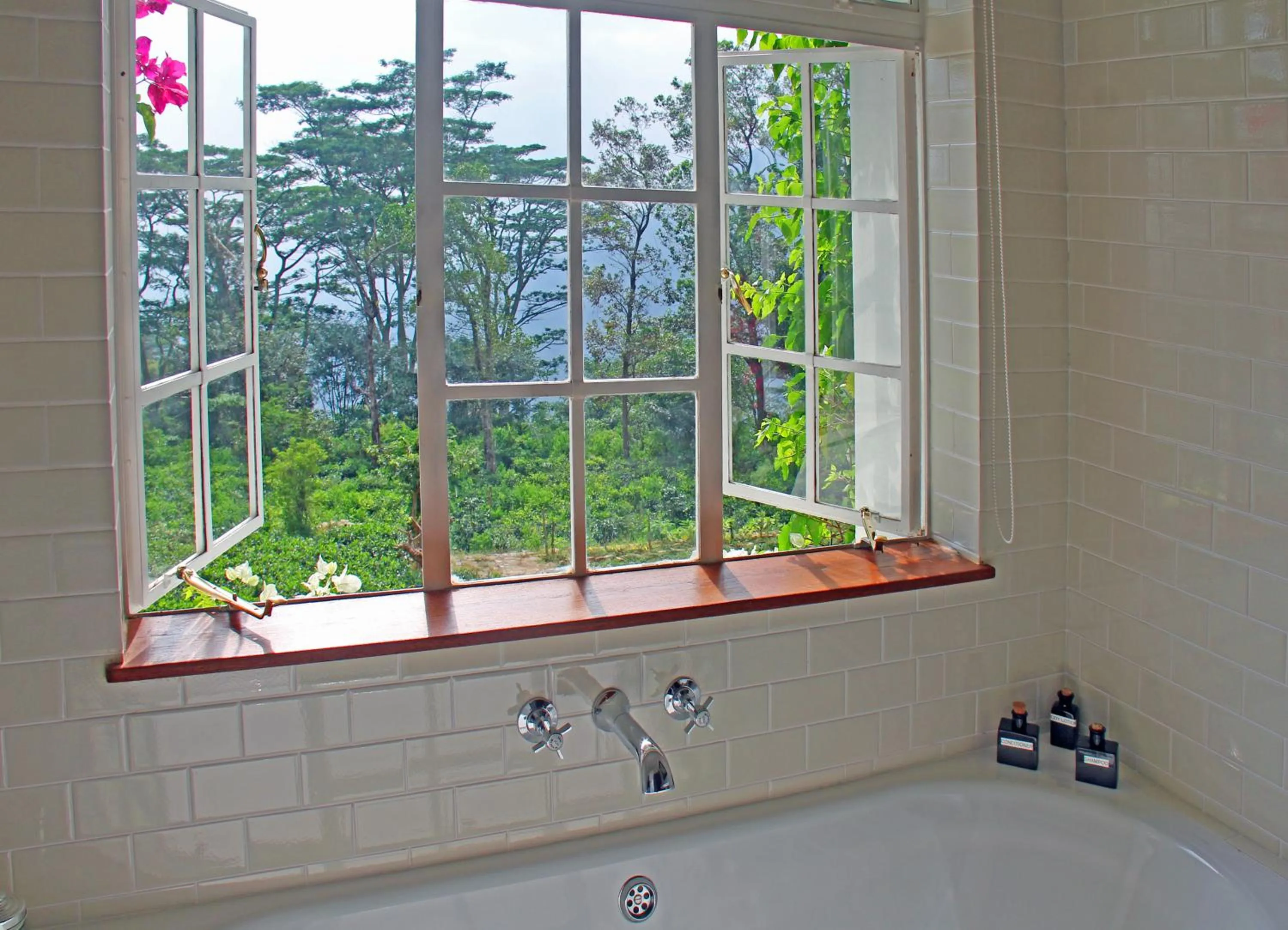 Natural landscape in The Planters House