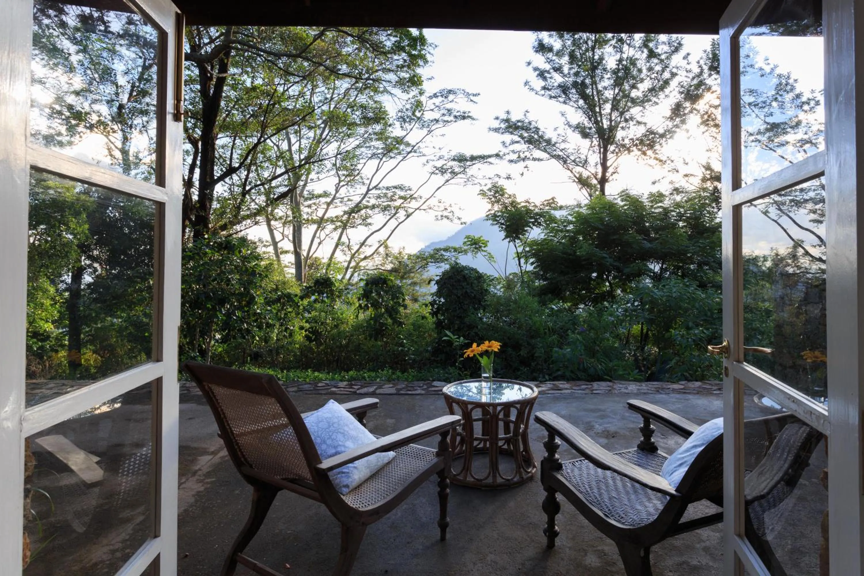 Patio in The Planters House