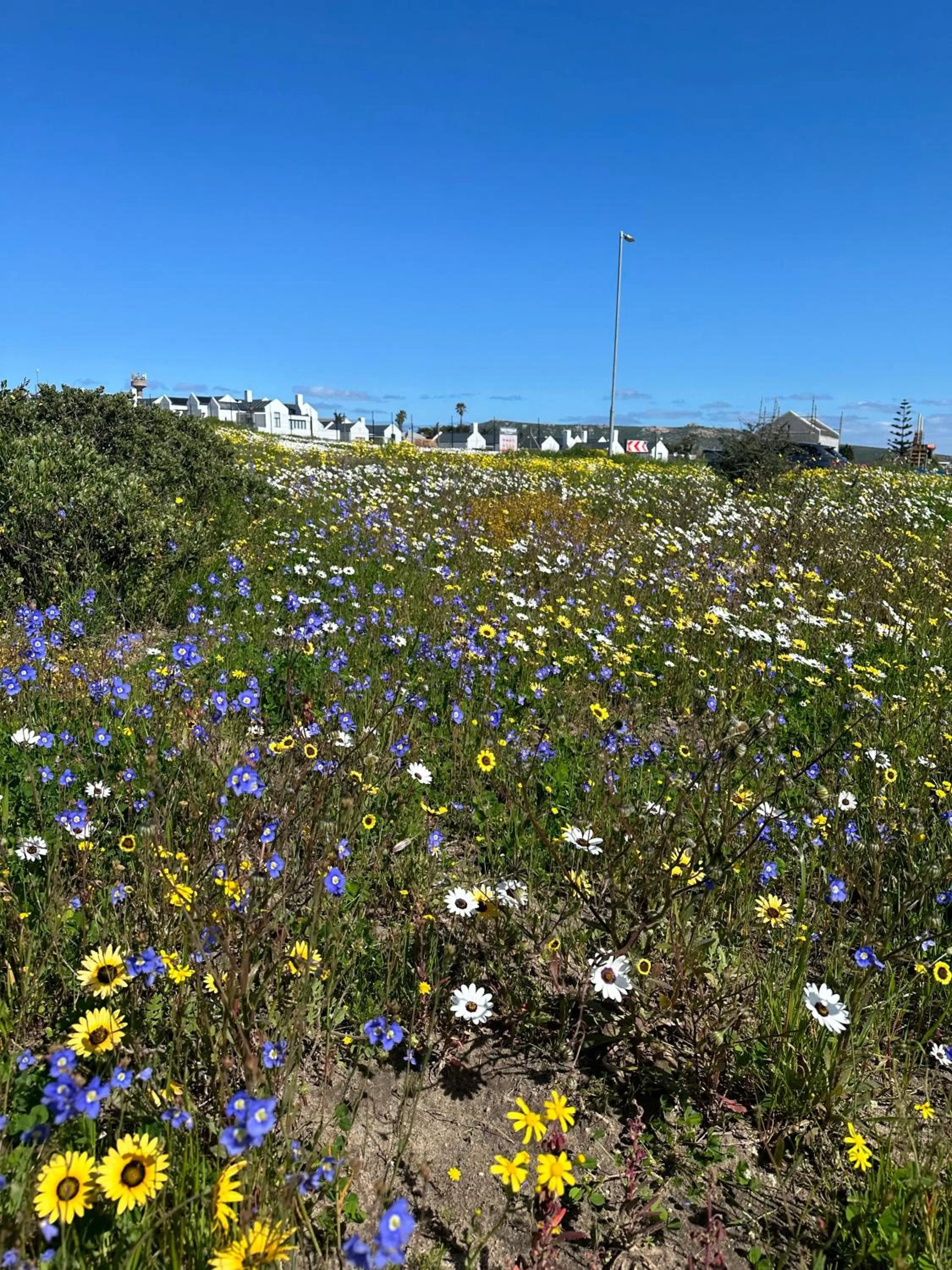 Spring in The Farmhouse Hotel