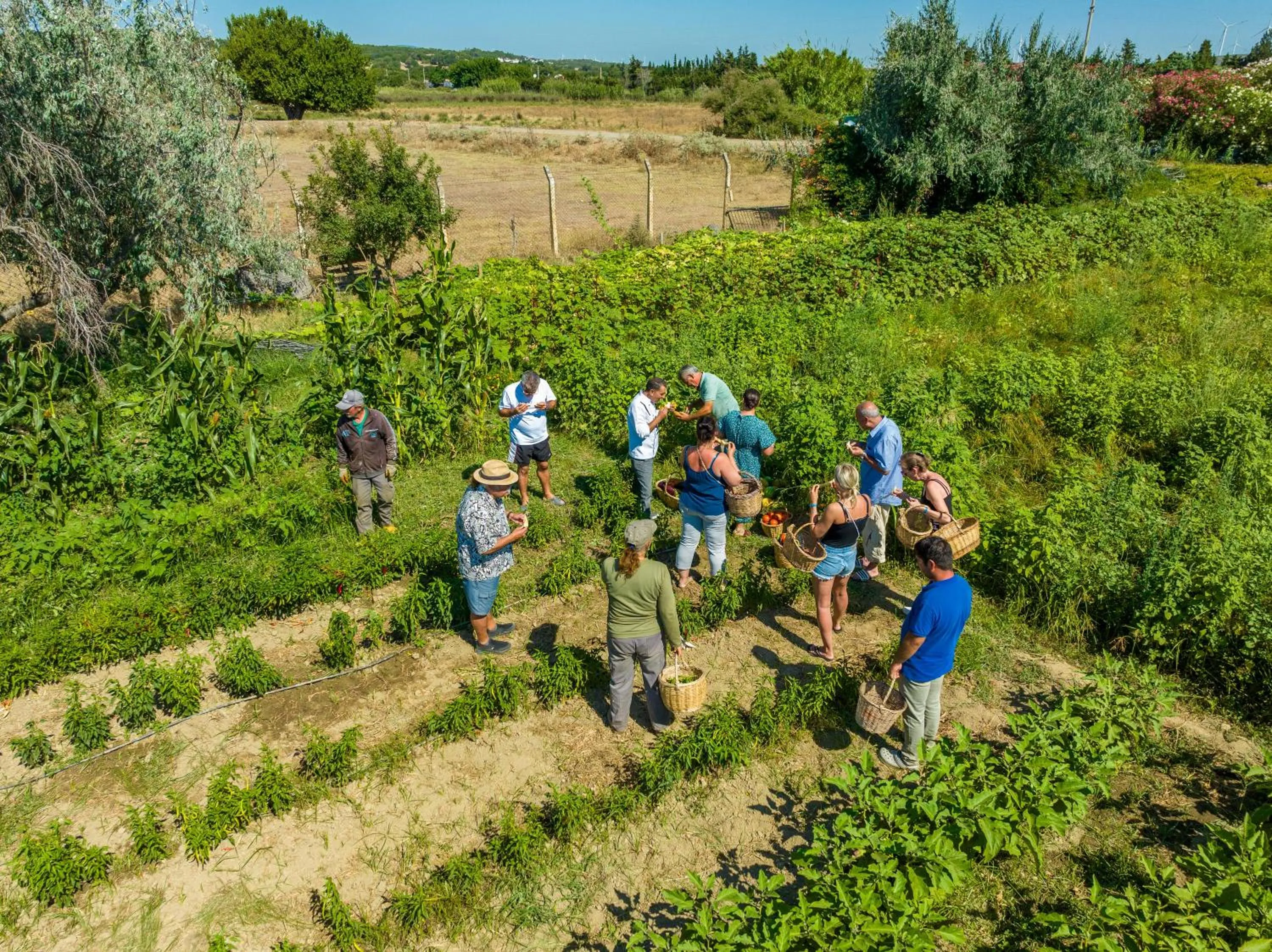 Garden in Labranda Lebedos Princess - All Inclusive