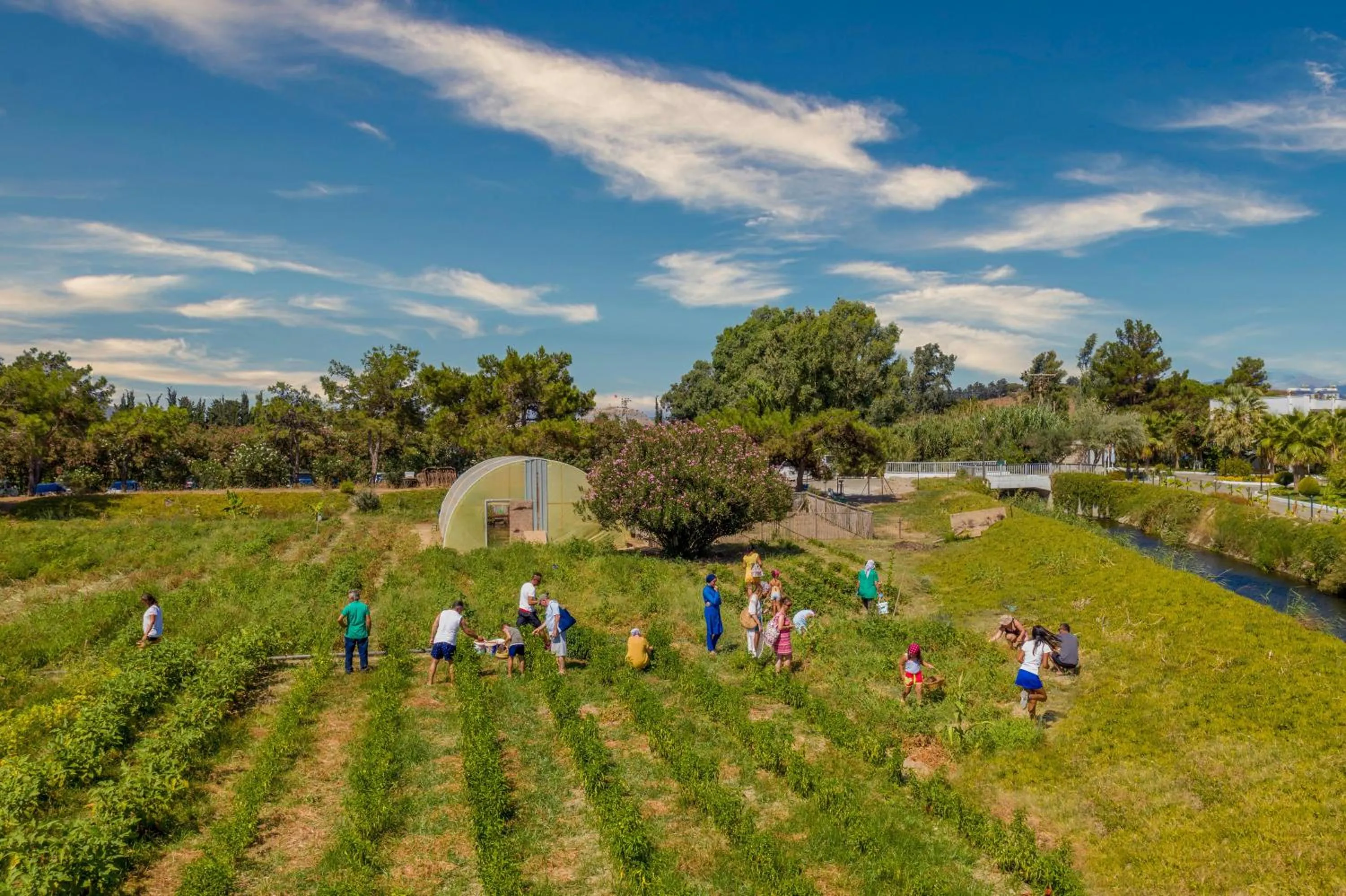 Garden in Labranda Lebedos Princess - All Inclusive