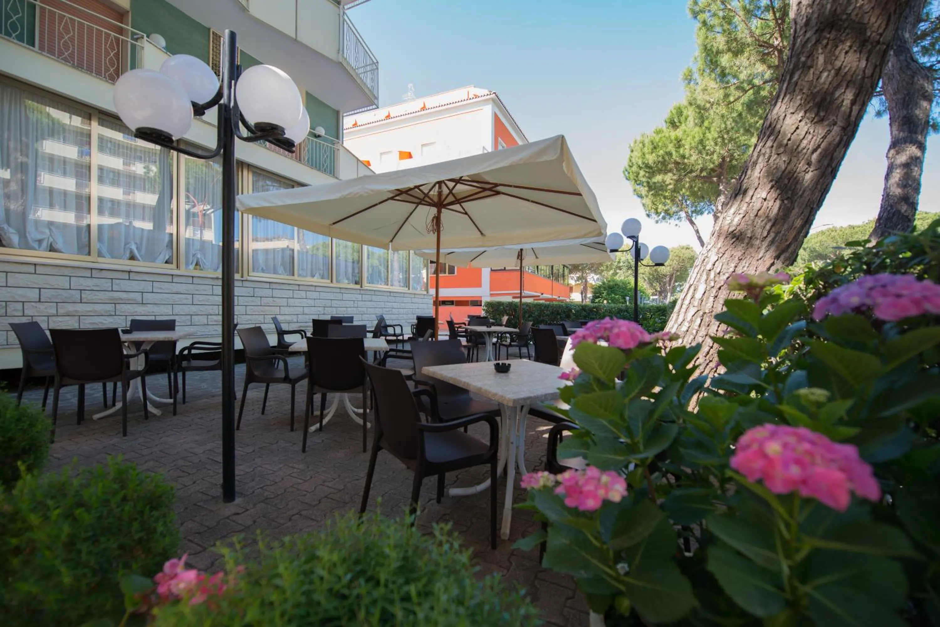 Garden in Hotel Lem-Casadei