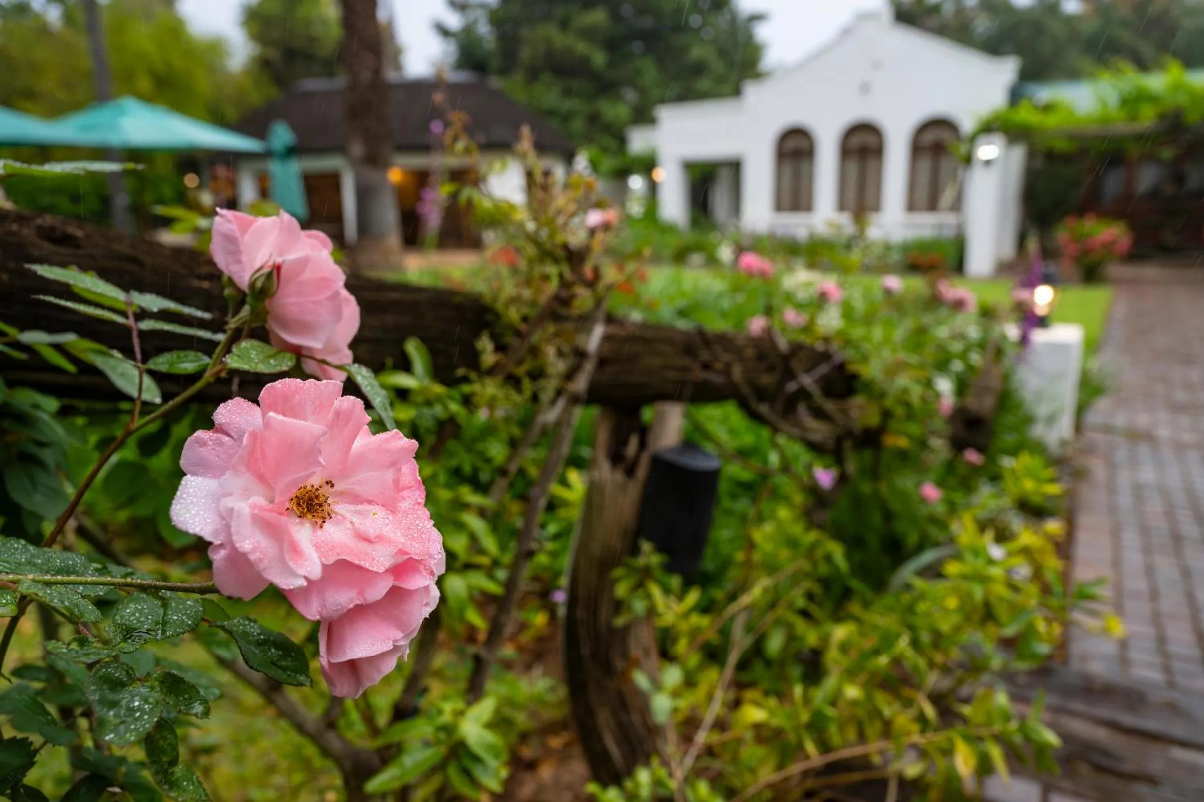 Spring in Woodall Country House and Spa