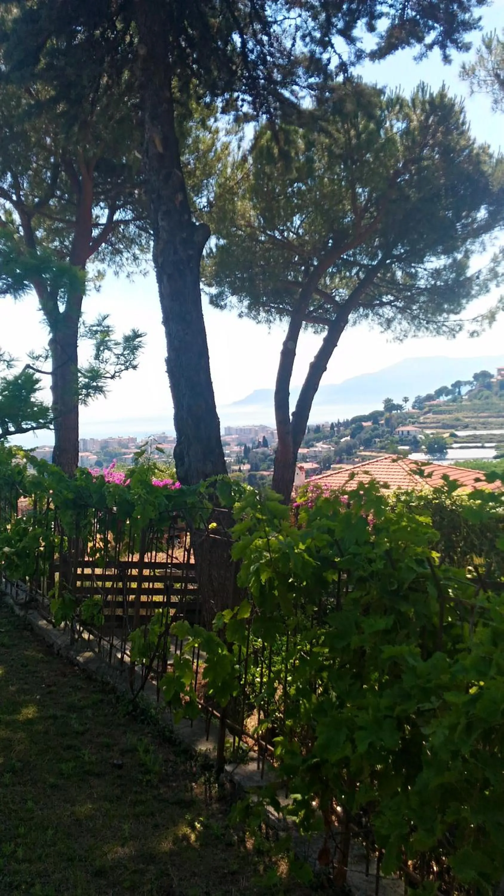 Garden in Le Gardenie da Fil