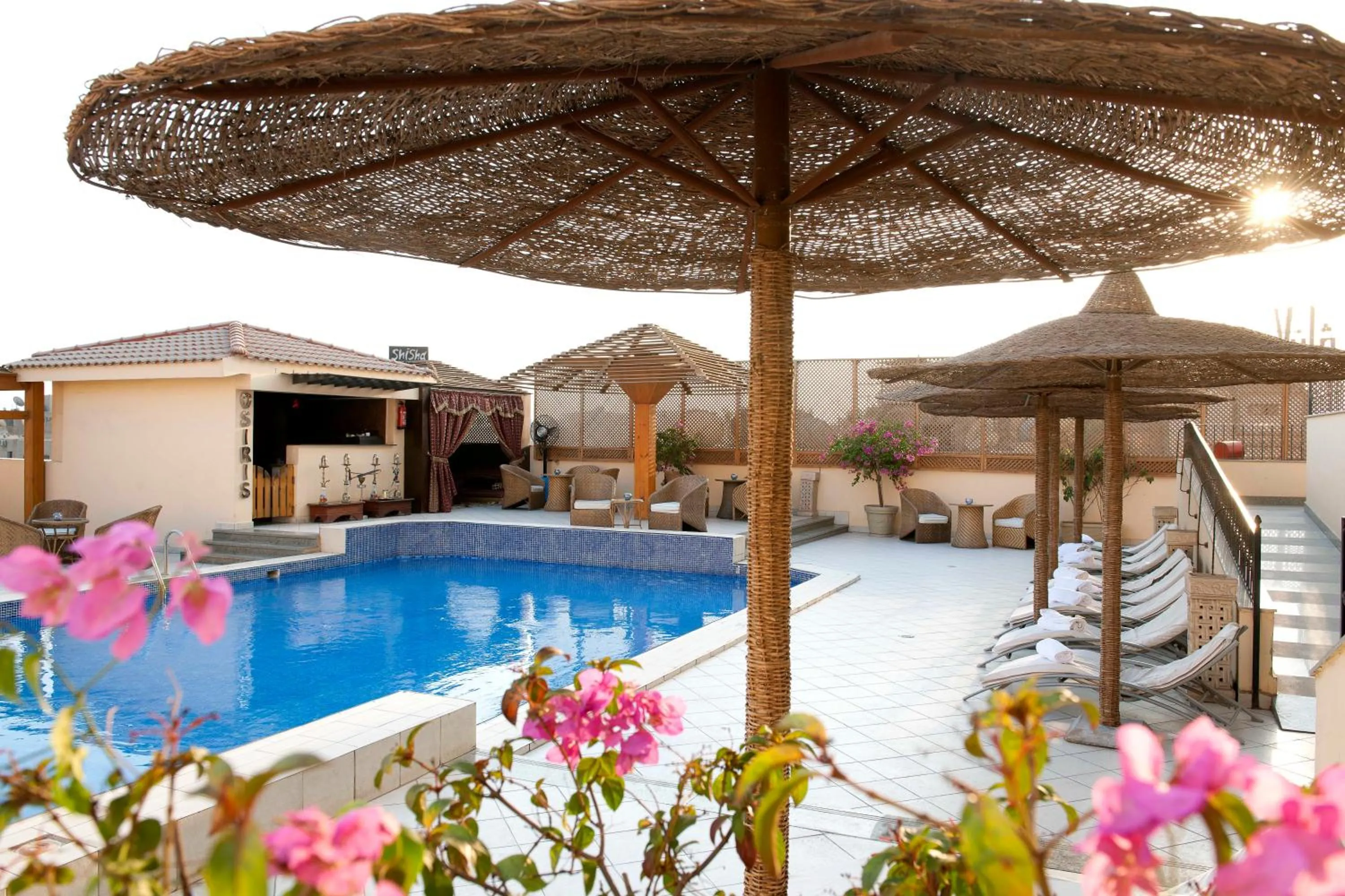 Swimming pool in Barceló Cairo Pyramids