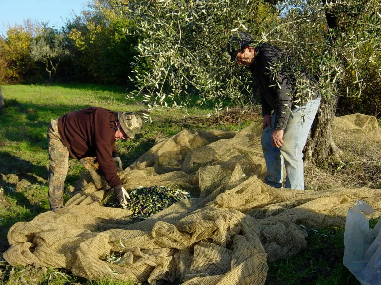 Natural landscape in Castello di Cafaggio