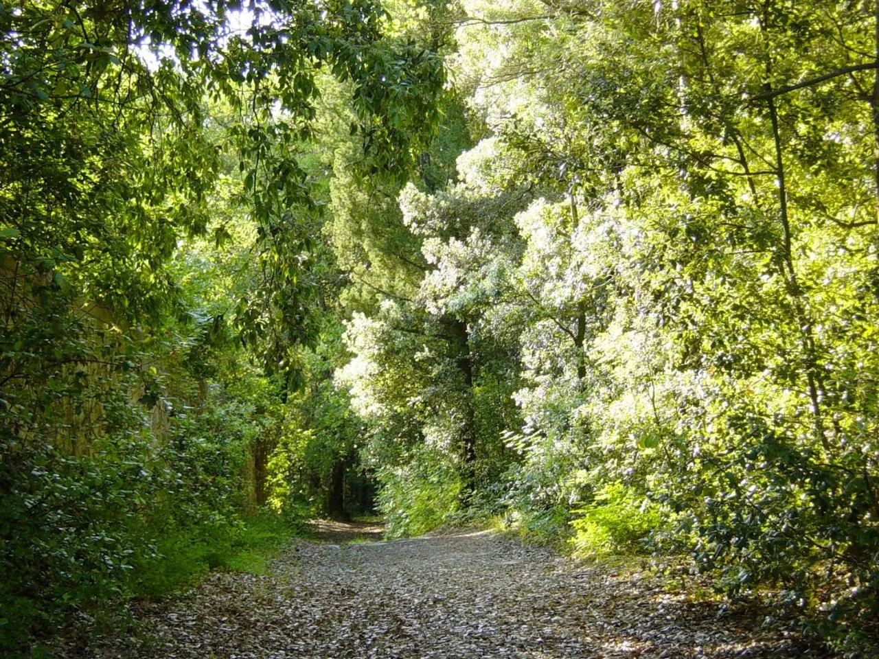 Garden view in Castello di Cafaggio