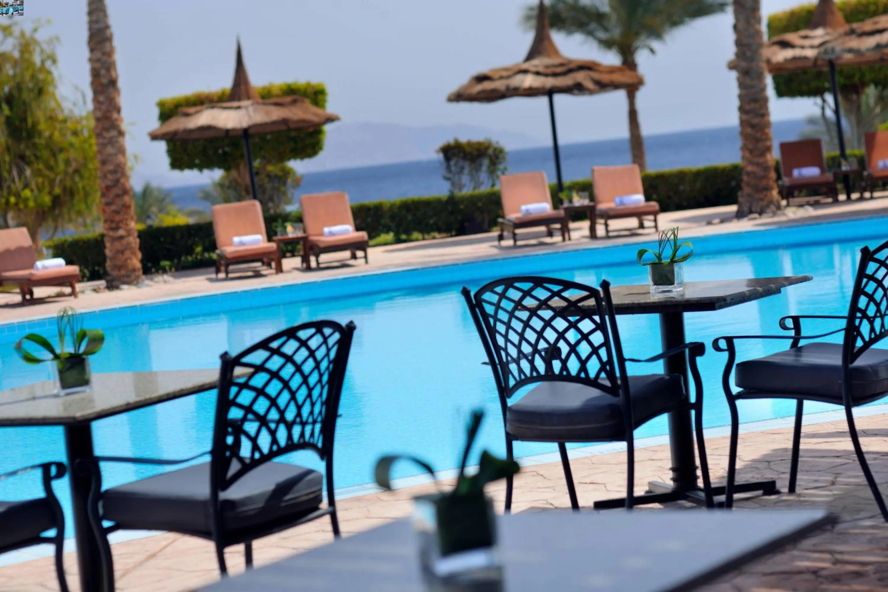Swimming pool in Renaissance Sharm El Sheikh Golden View Beach Resort