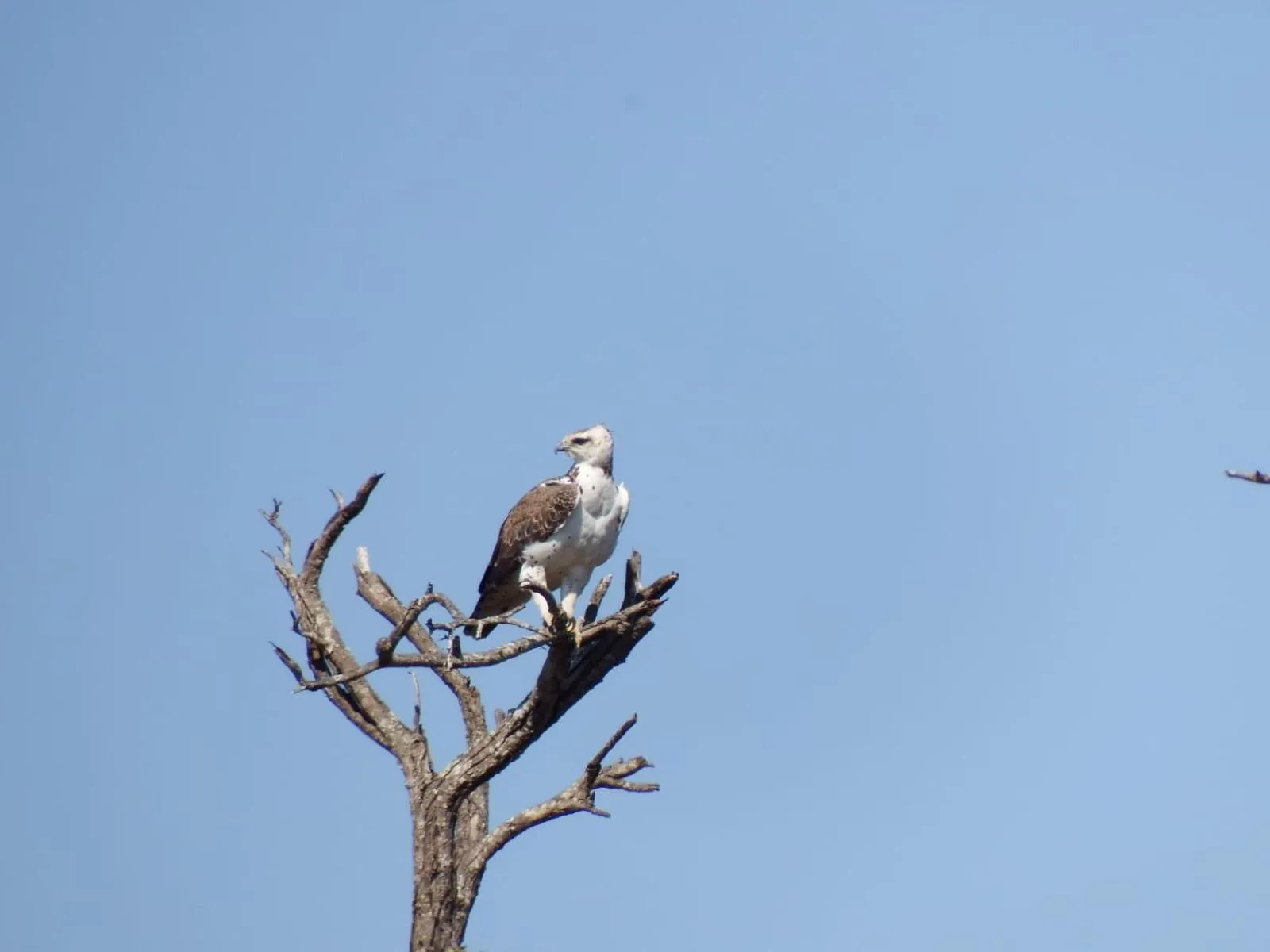 Day in Wielewaal Bush Lodge