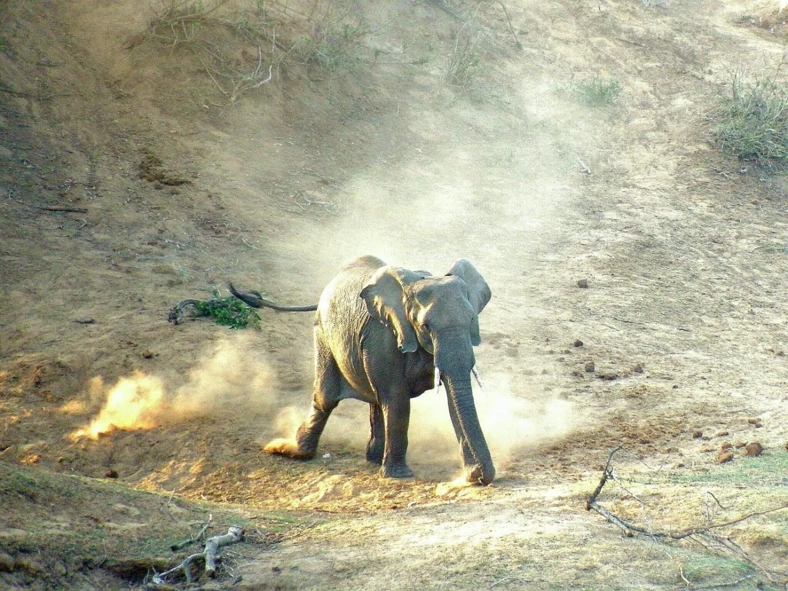 Day in Wielewaal Bush Lodge