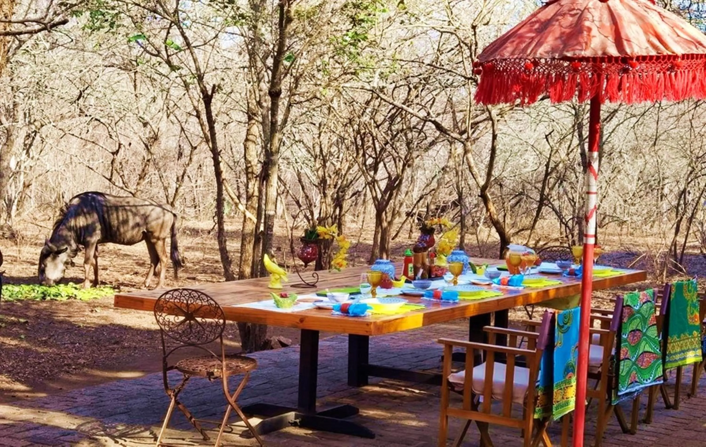 Restaurant/places to eat in Wielewaal Bush Lodge