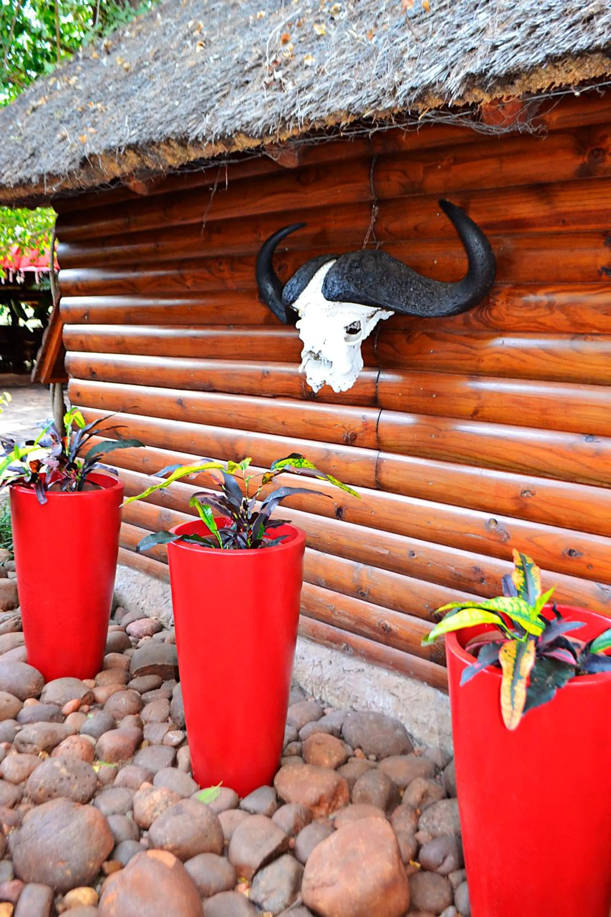 Facade/entrance in Wielewaal Bush Lodge