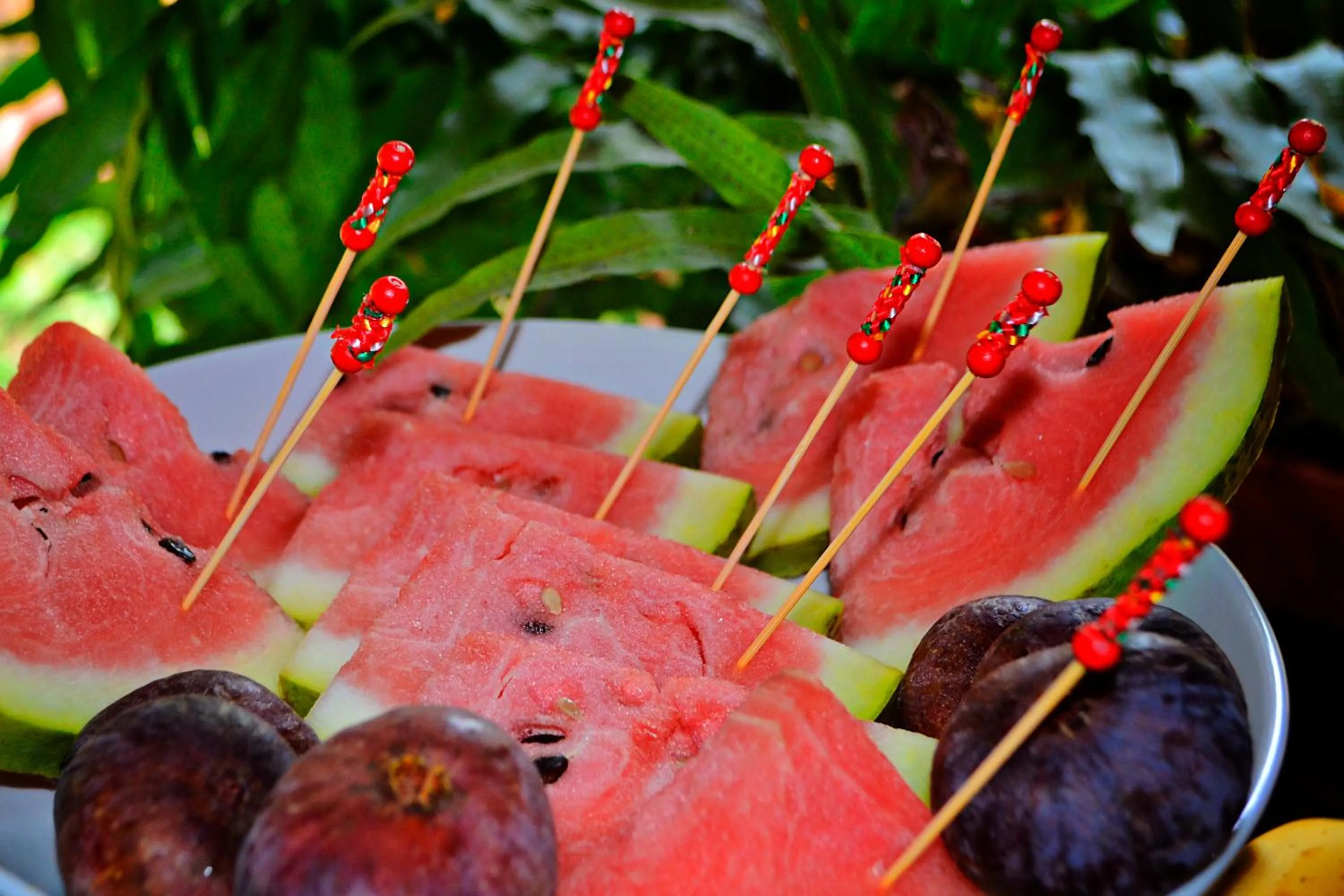Food close-up in Wielewaal Bush Lodge