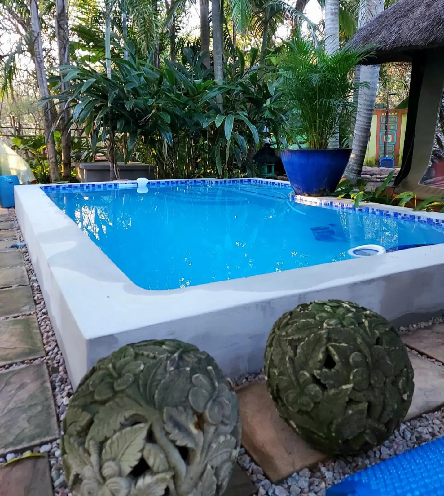 Day in Wielewaal Bush Lodge