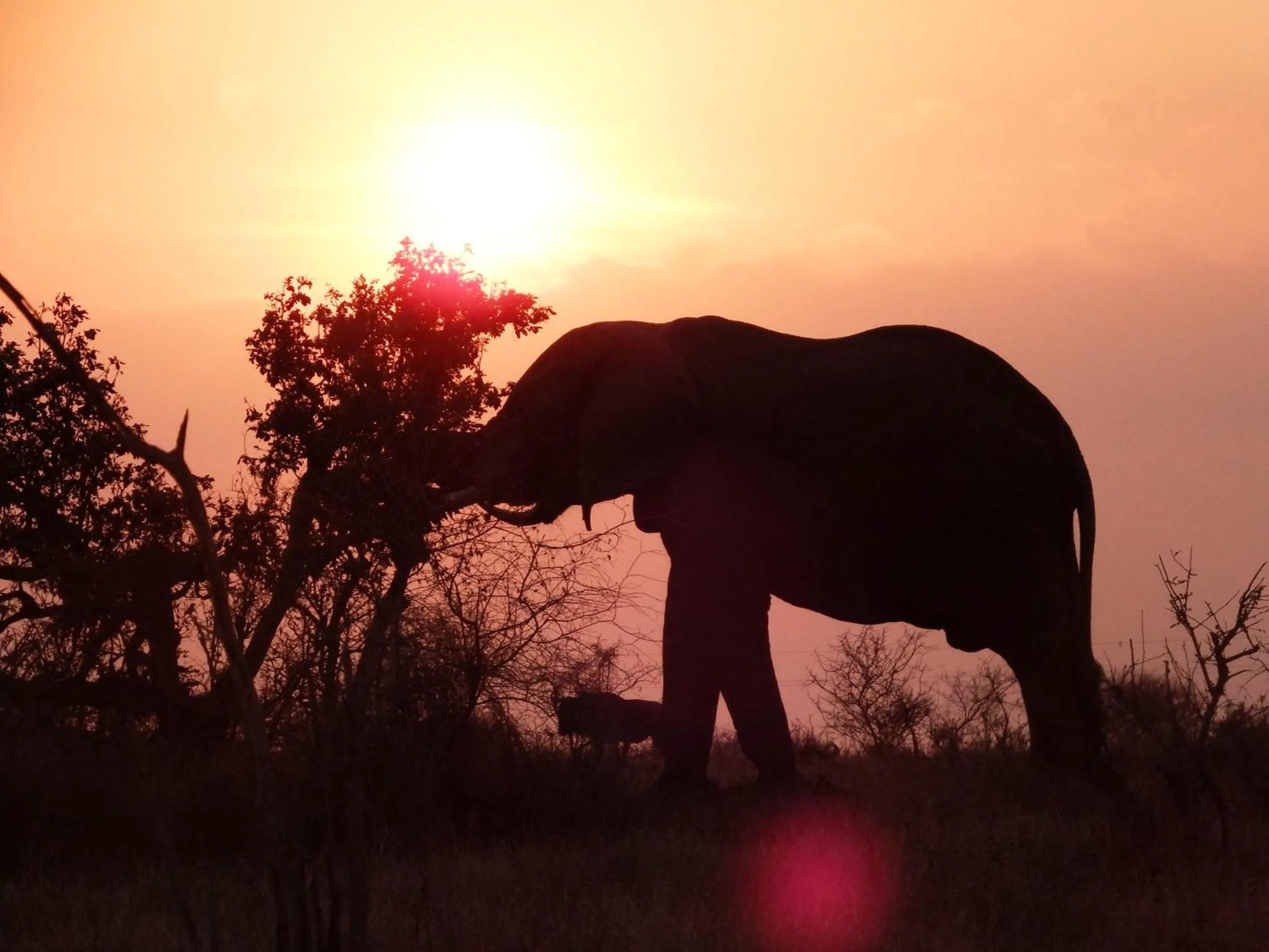 Off site in Wielewaal Bush Lodge
