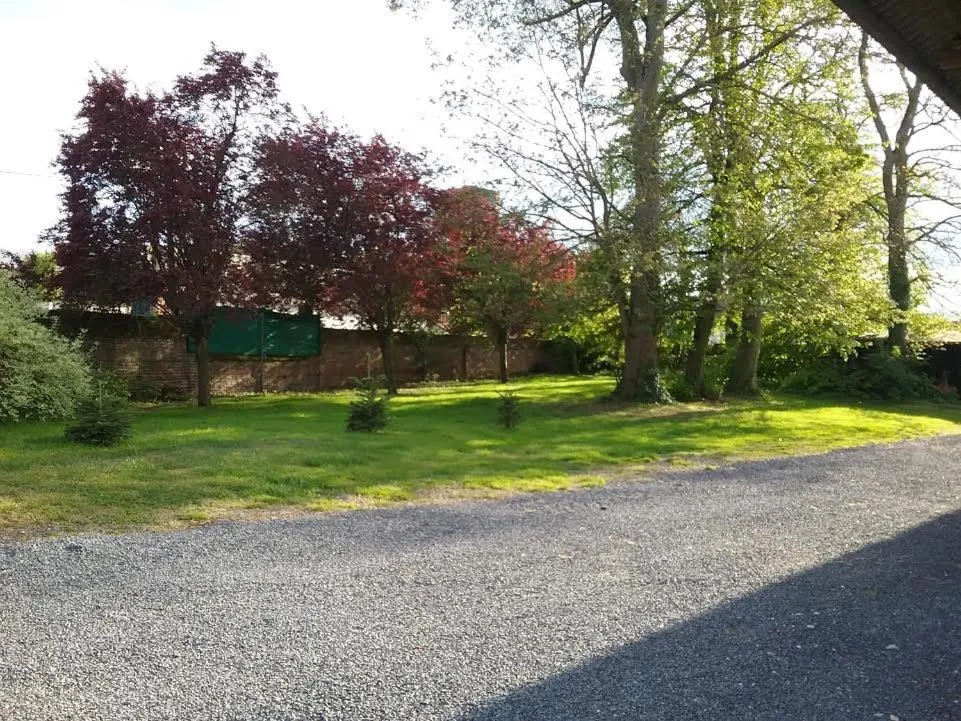Garden in Château des marronniers