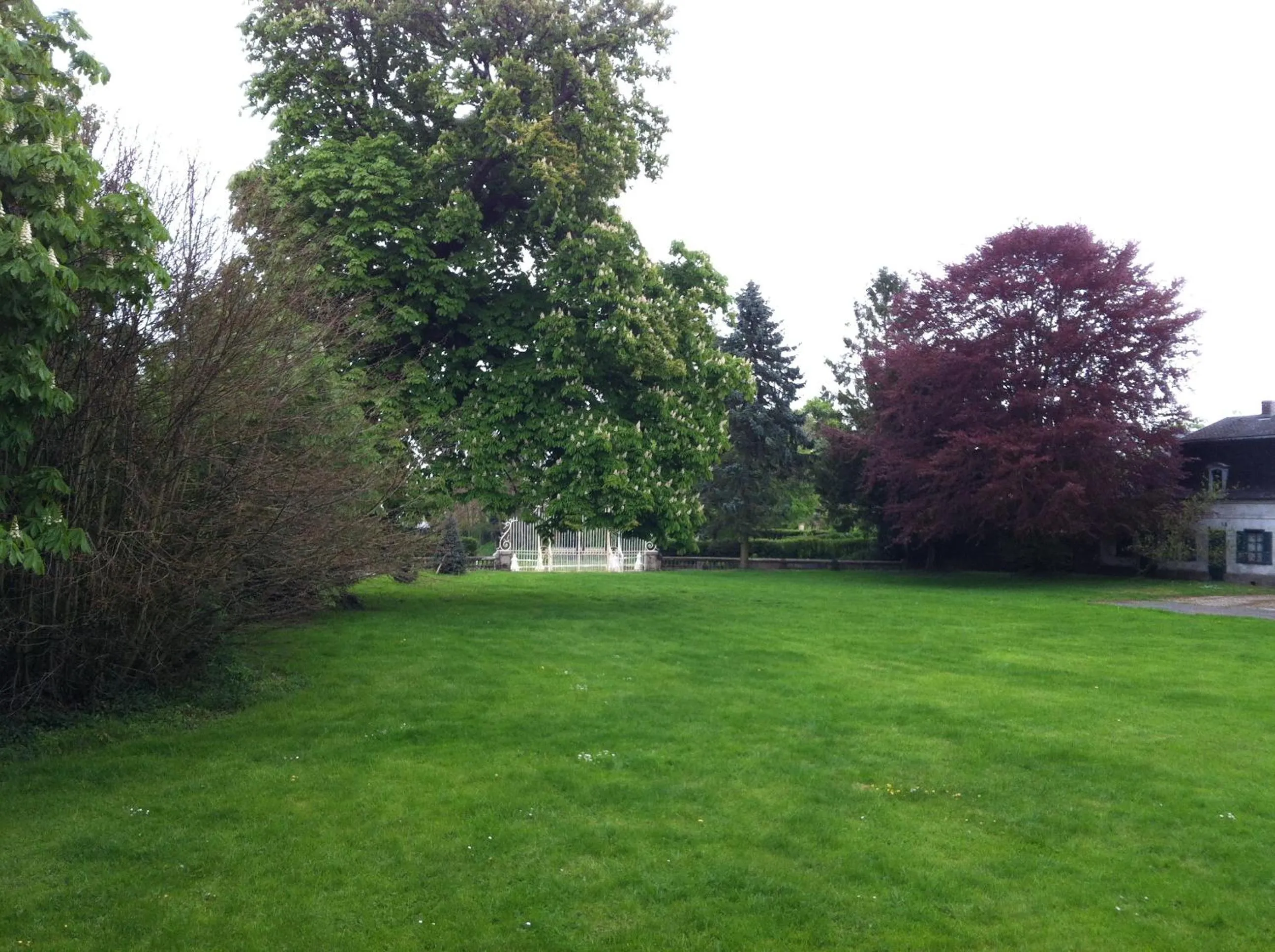 View (from property/room) in Château des marronniers