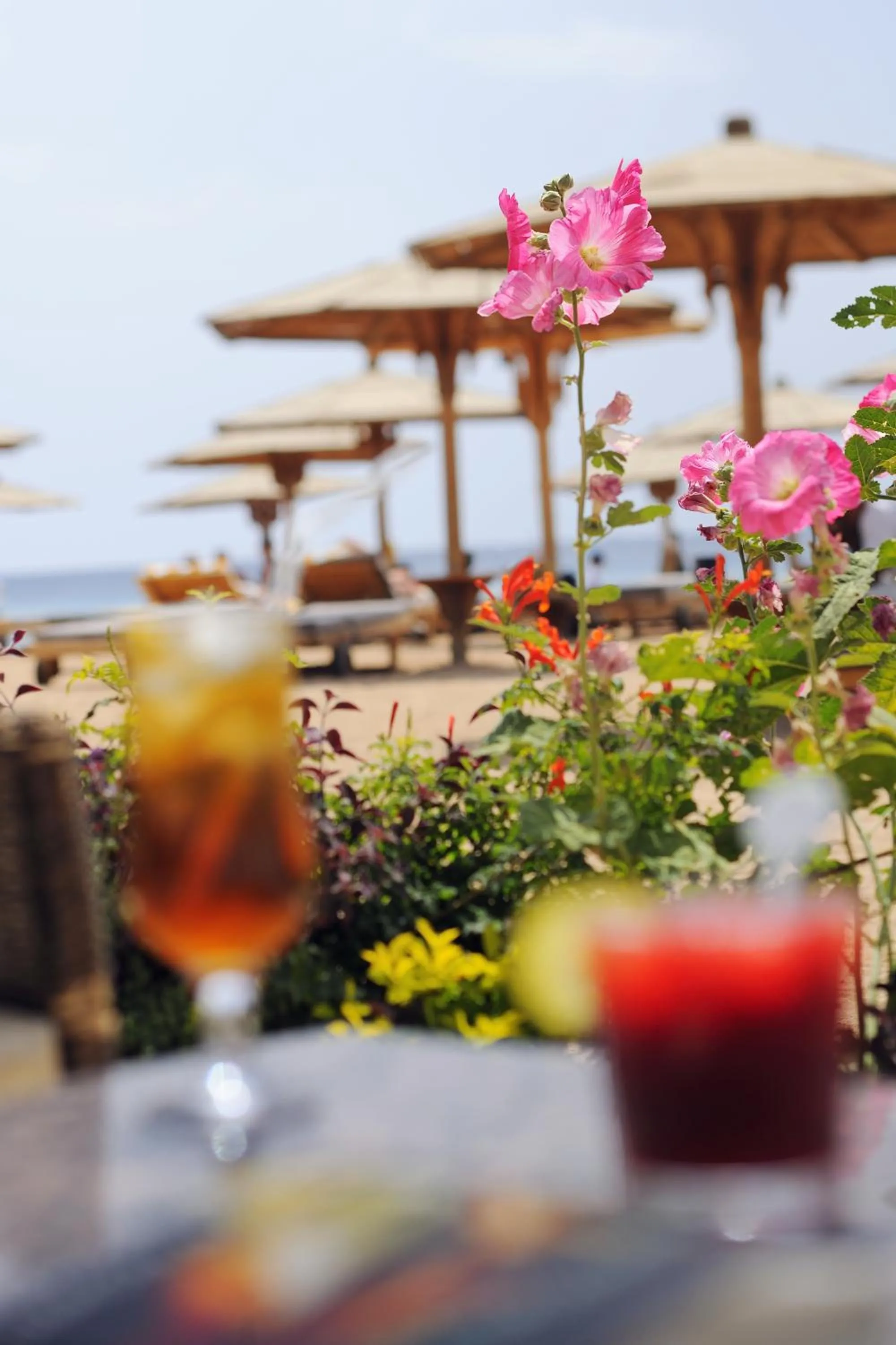 Beach in Naama Bay Promenade Beach Resort Managed By Accor