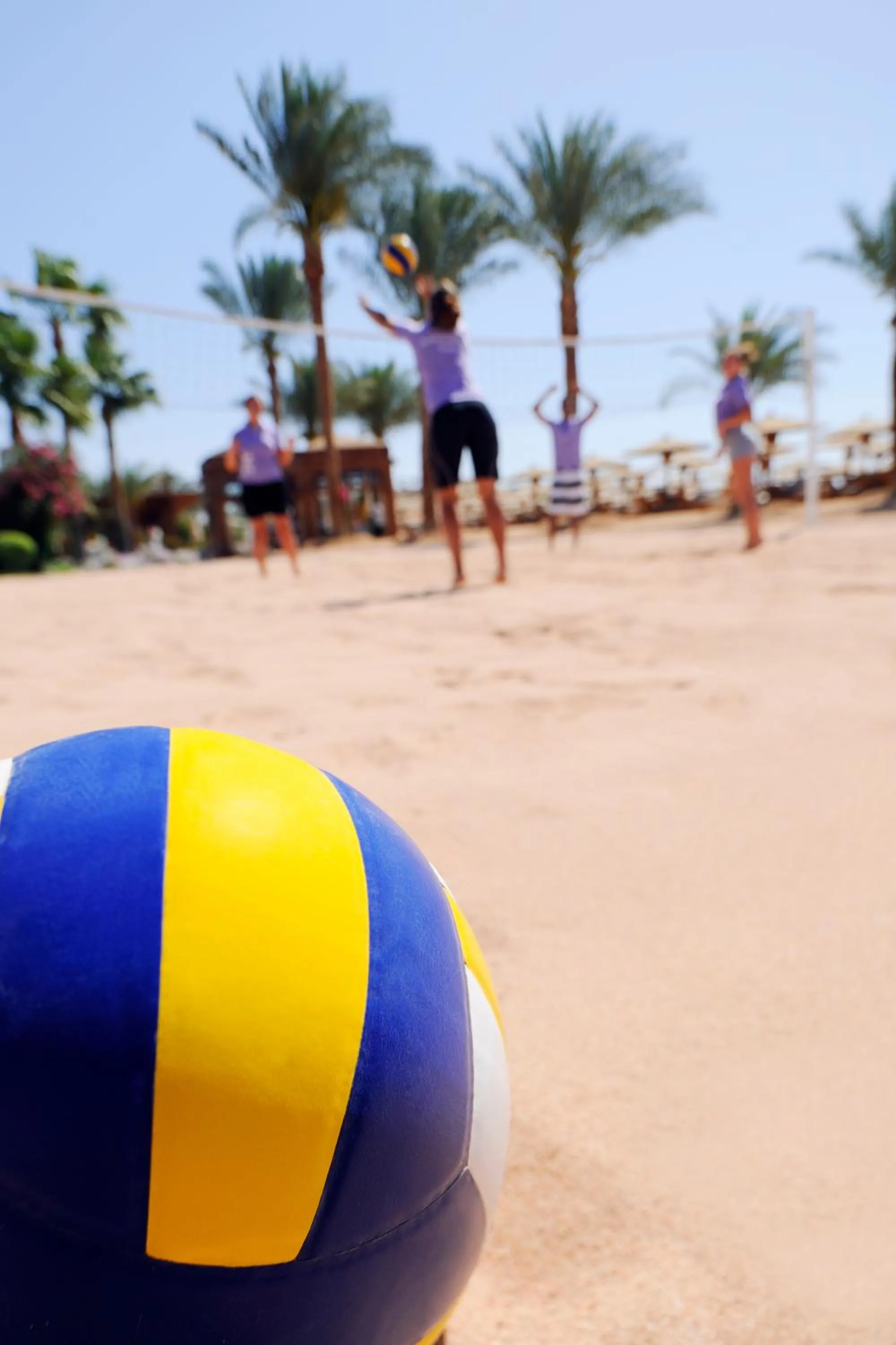 Decorative detail in Naama Bay Promenade Beach Resort Managed By Accor