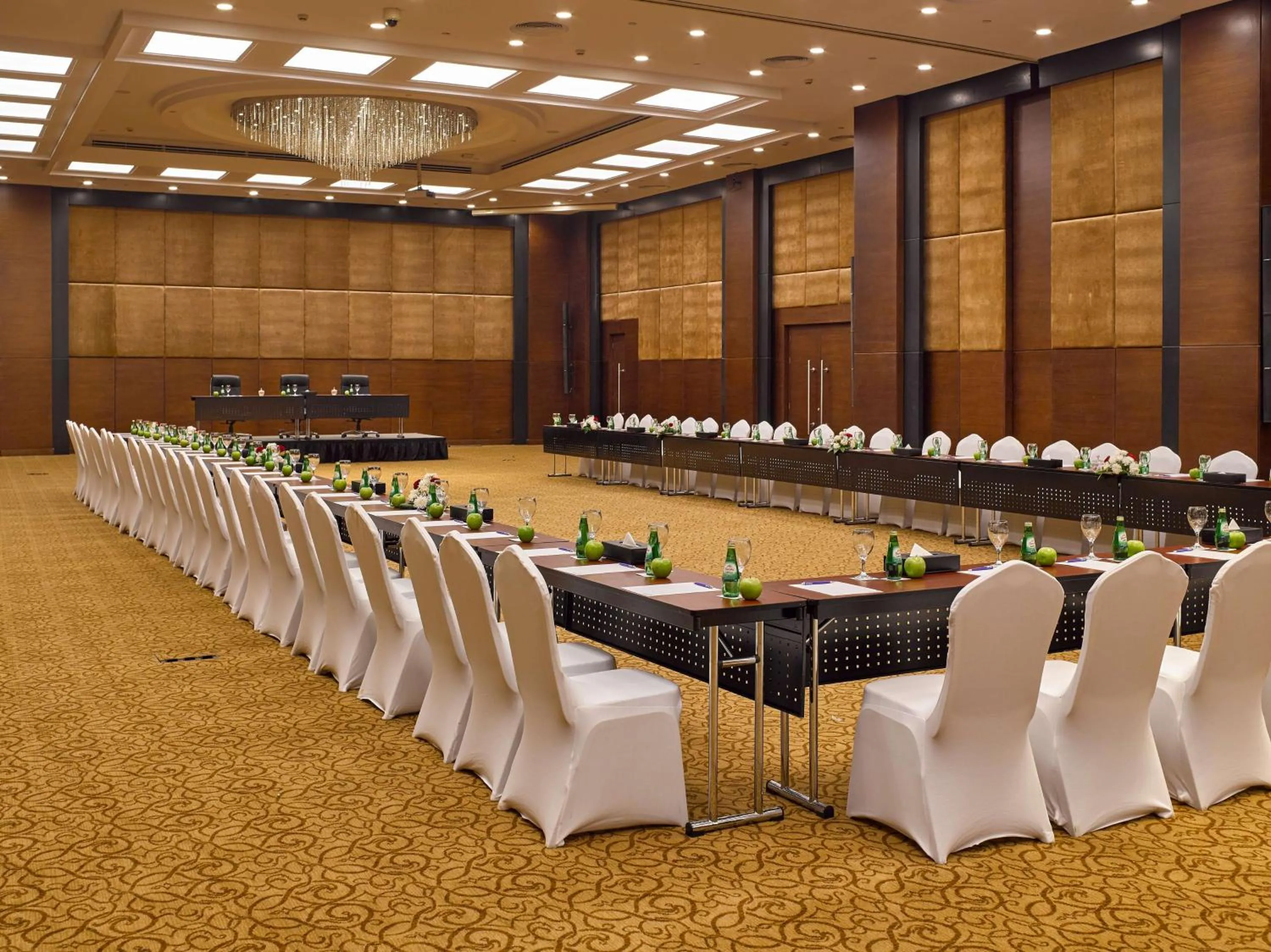 Banquet/Function facilities in Radisson Blu Hotel & Convention Center, Alexandria