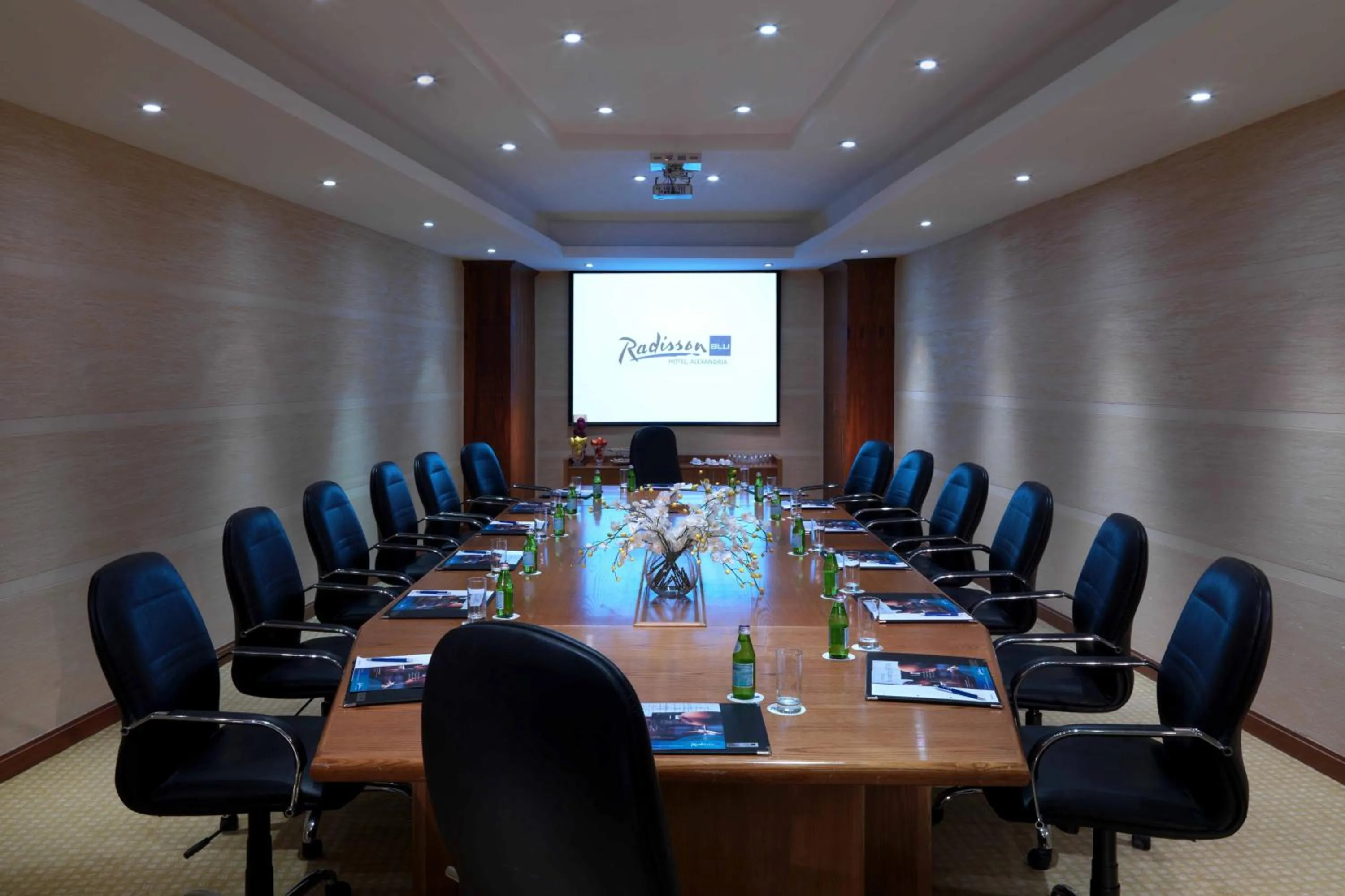 Business facilities in Radisson Blu Hotel & Convention Center, Alexandria