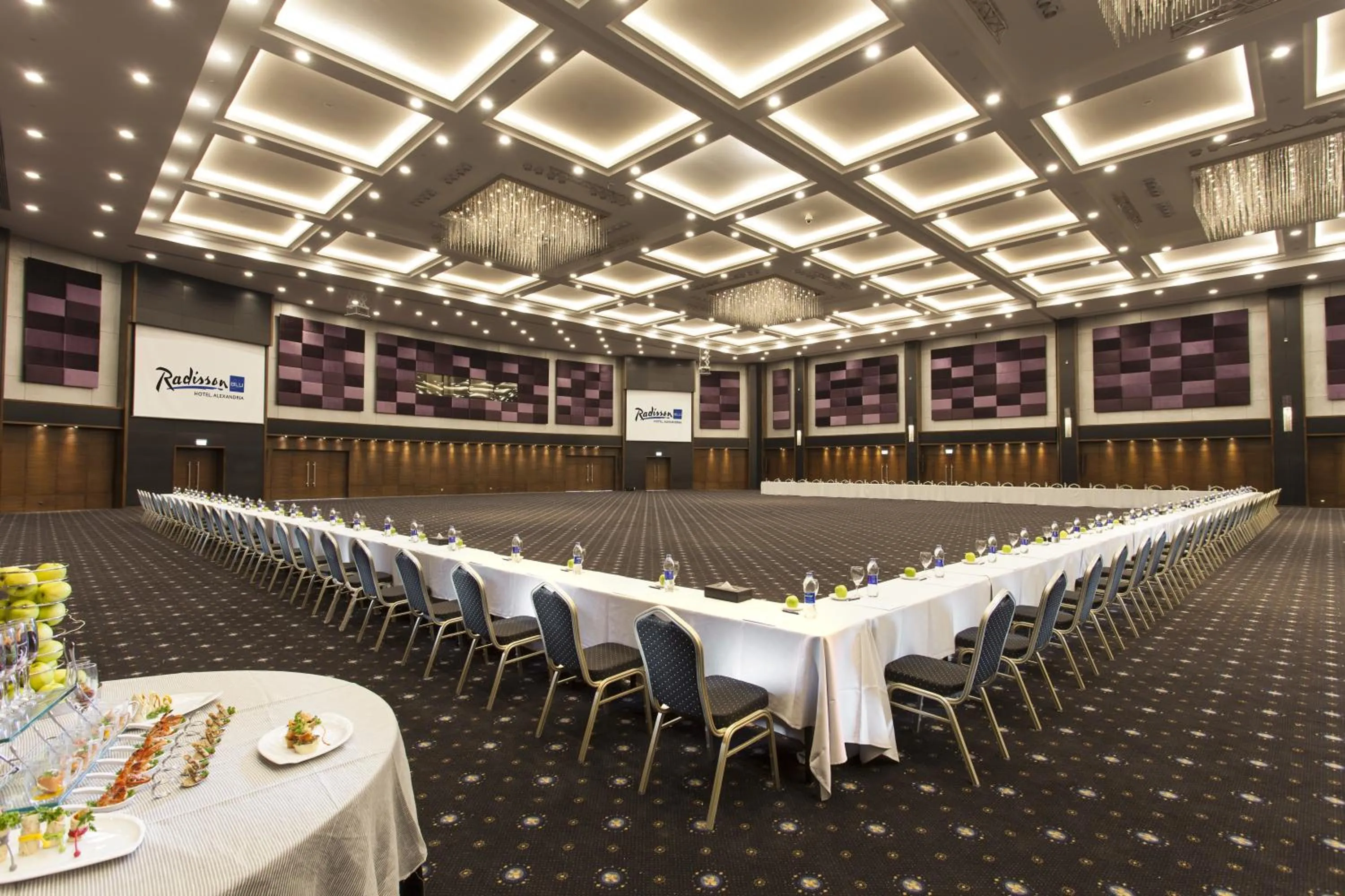 Meeting/conference room in Radisson Blu Hotel & Convention Center, Alexandria