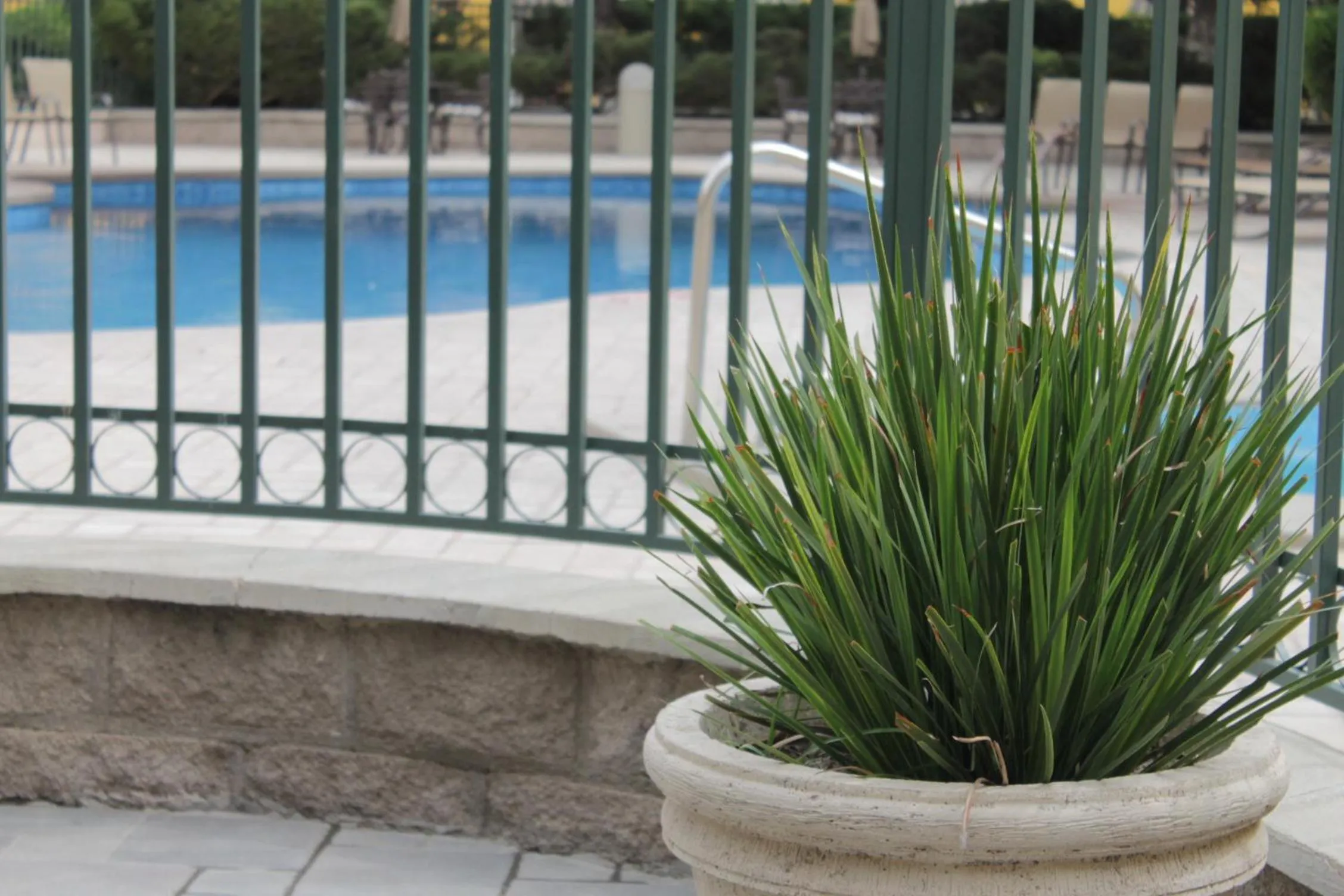 Swimming pool in Holiday Inn Express Chihuahua by IHG