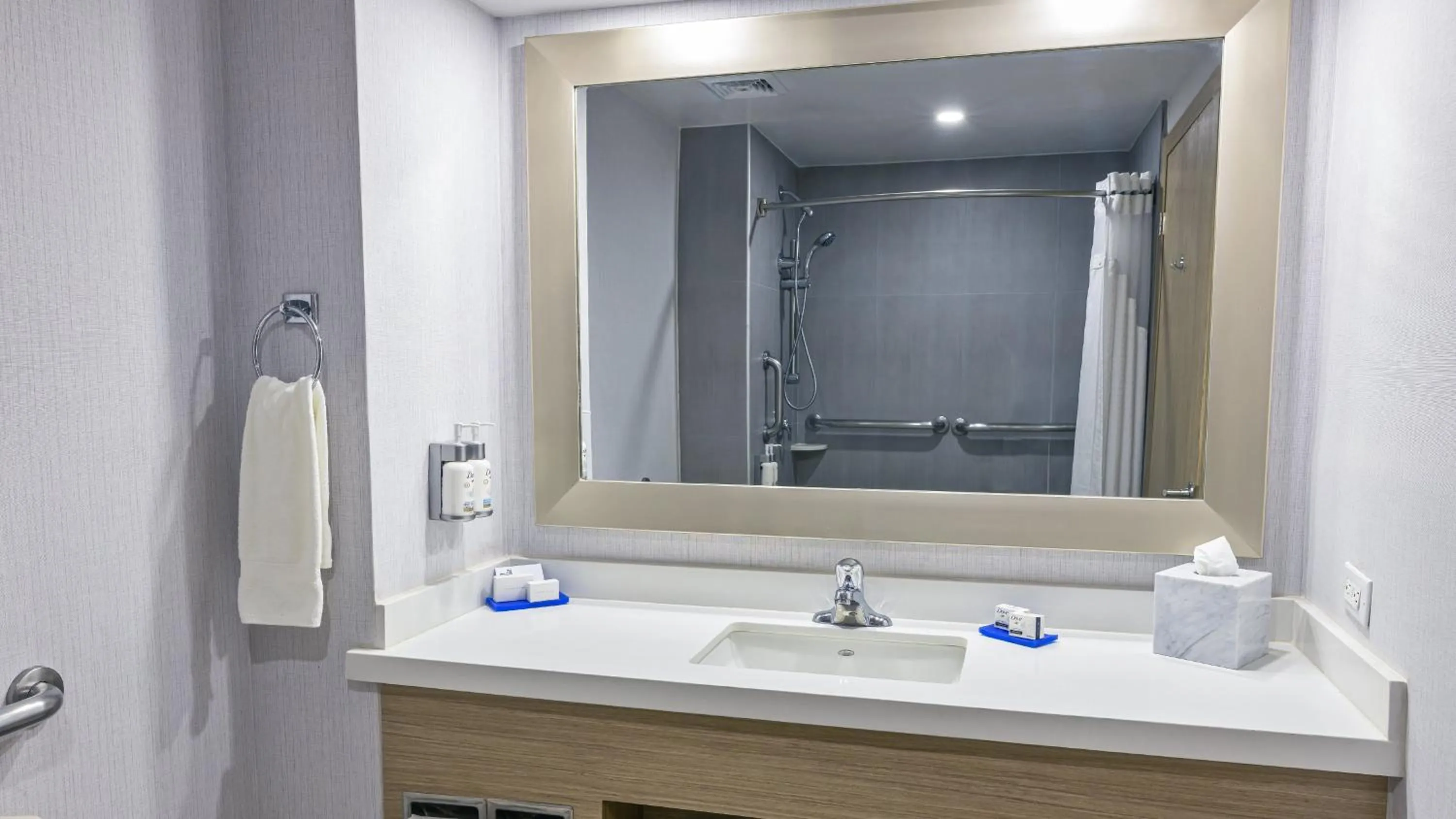 Bathroom in Holiday Inn Express Chihuahua by IHG