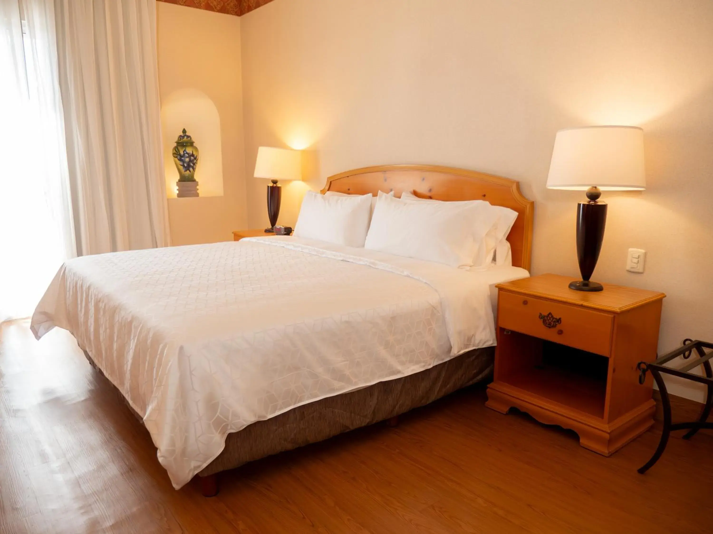 Standard King Room in Holiday Inn Express Silao-Aeropuerto Bajio by IHG Standard King Room in Holiday Inn Express Silao-Aeropuerto Bajio by IHG