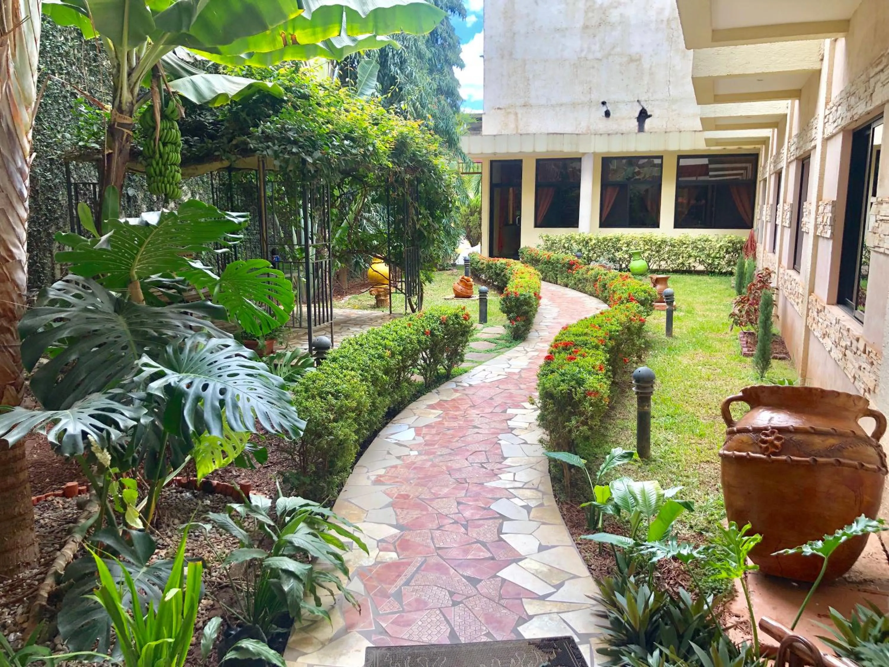 Patio in Hotel Plaza Maria
