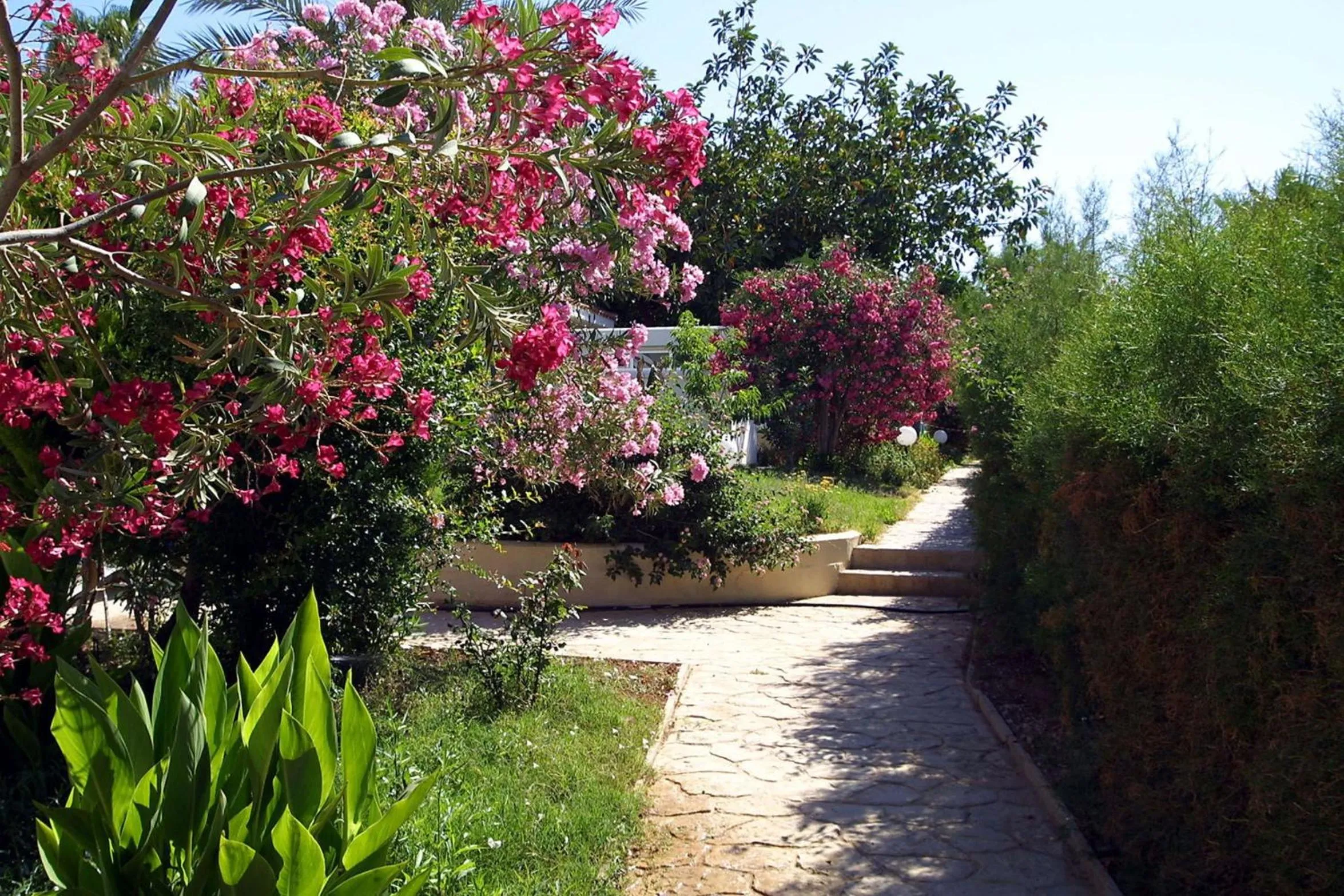 Garden in Kissos Hotel