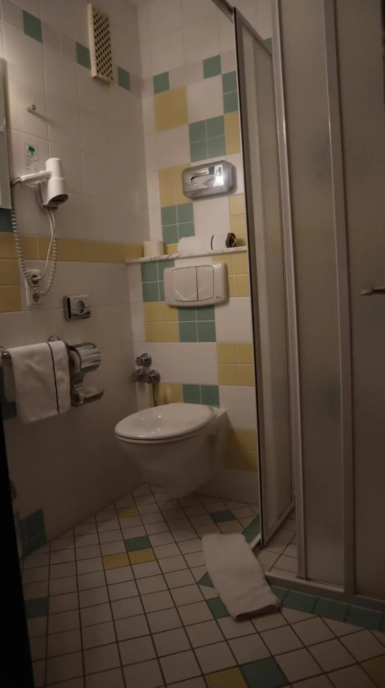 Toilet in Hotel Gasthaus zur Linde