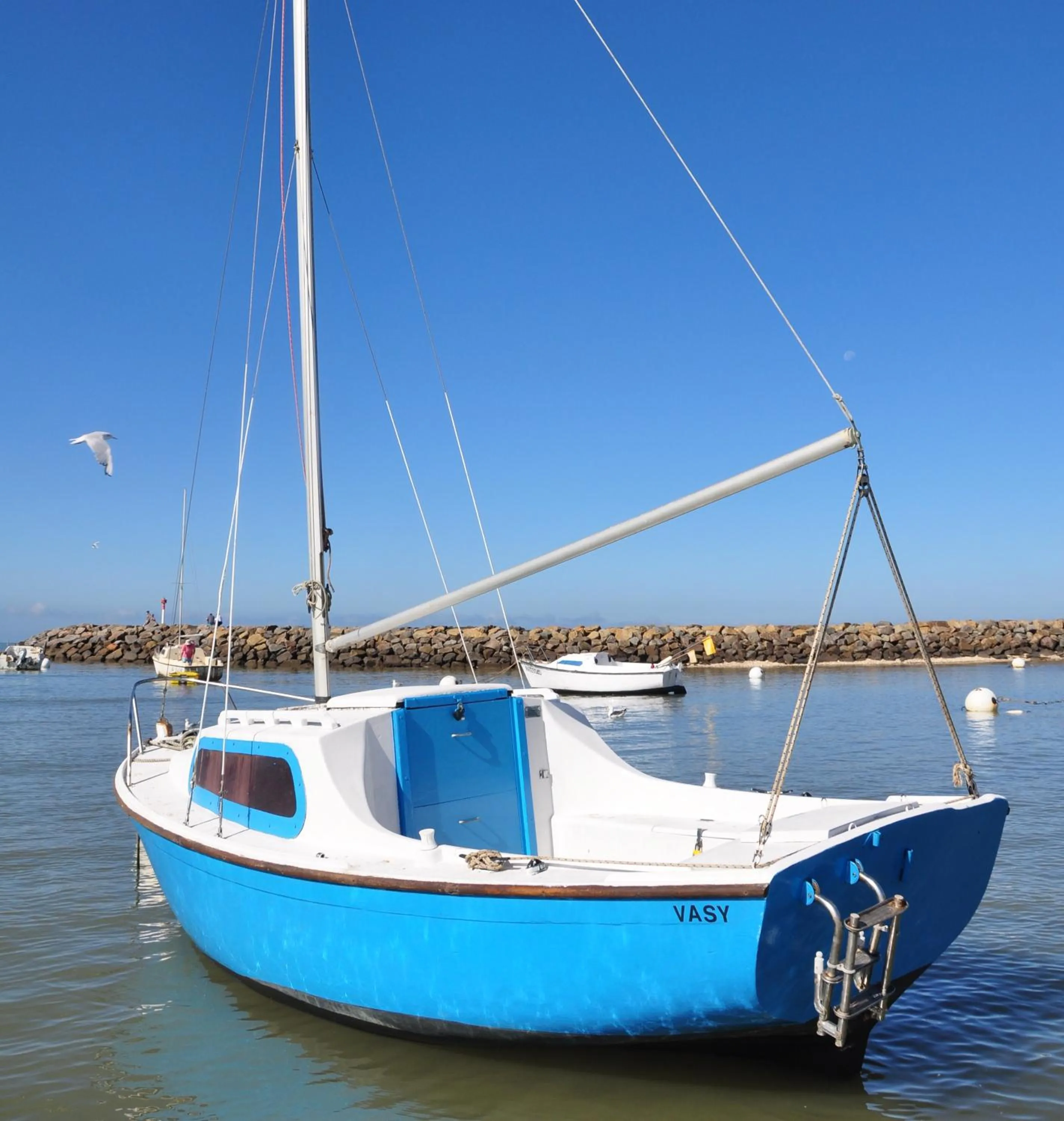 View (from property/room) in La Belgerie