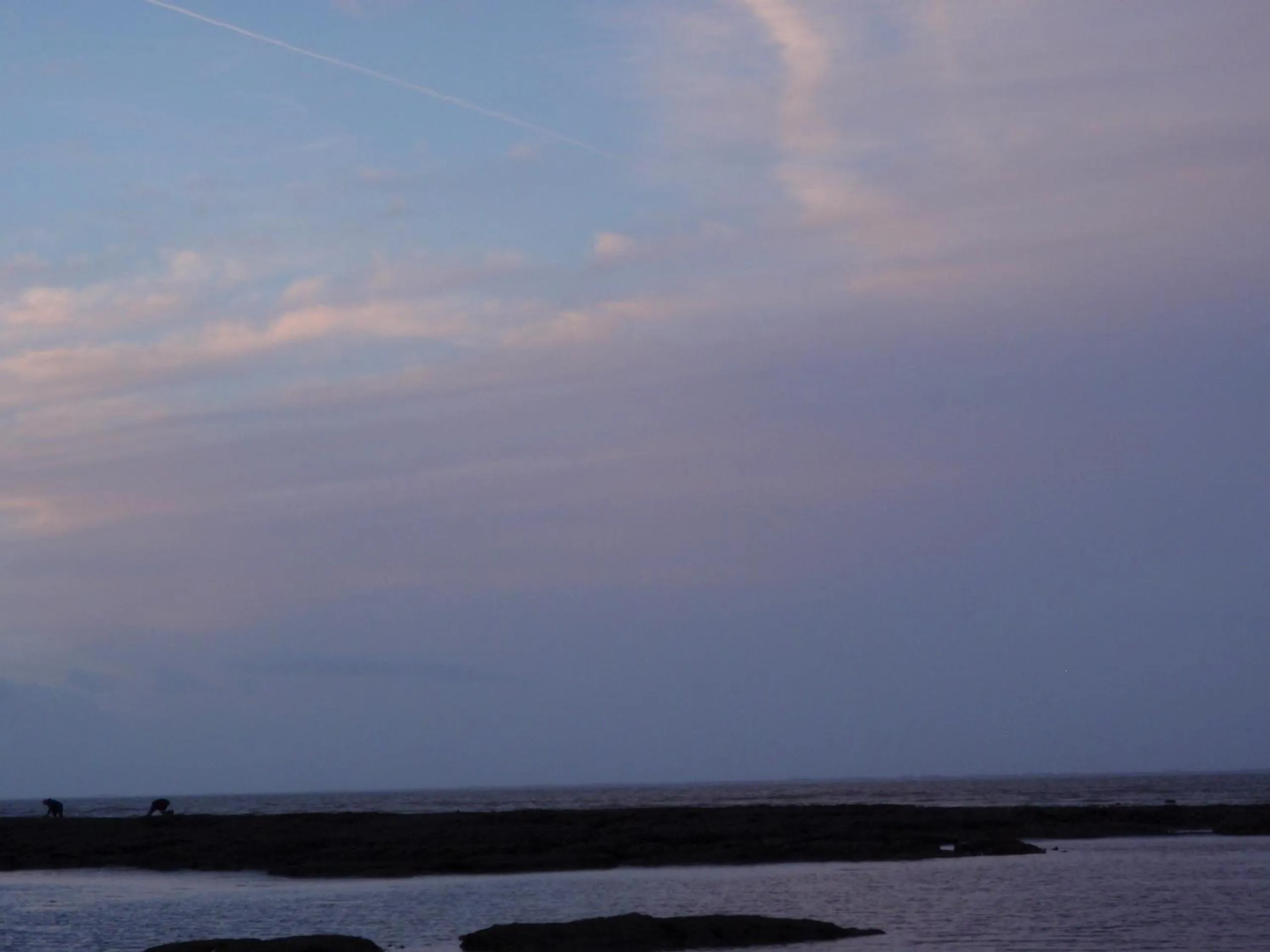 Other in La Belgerie