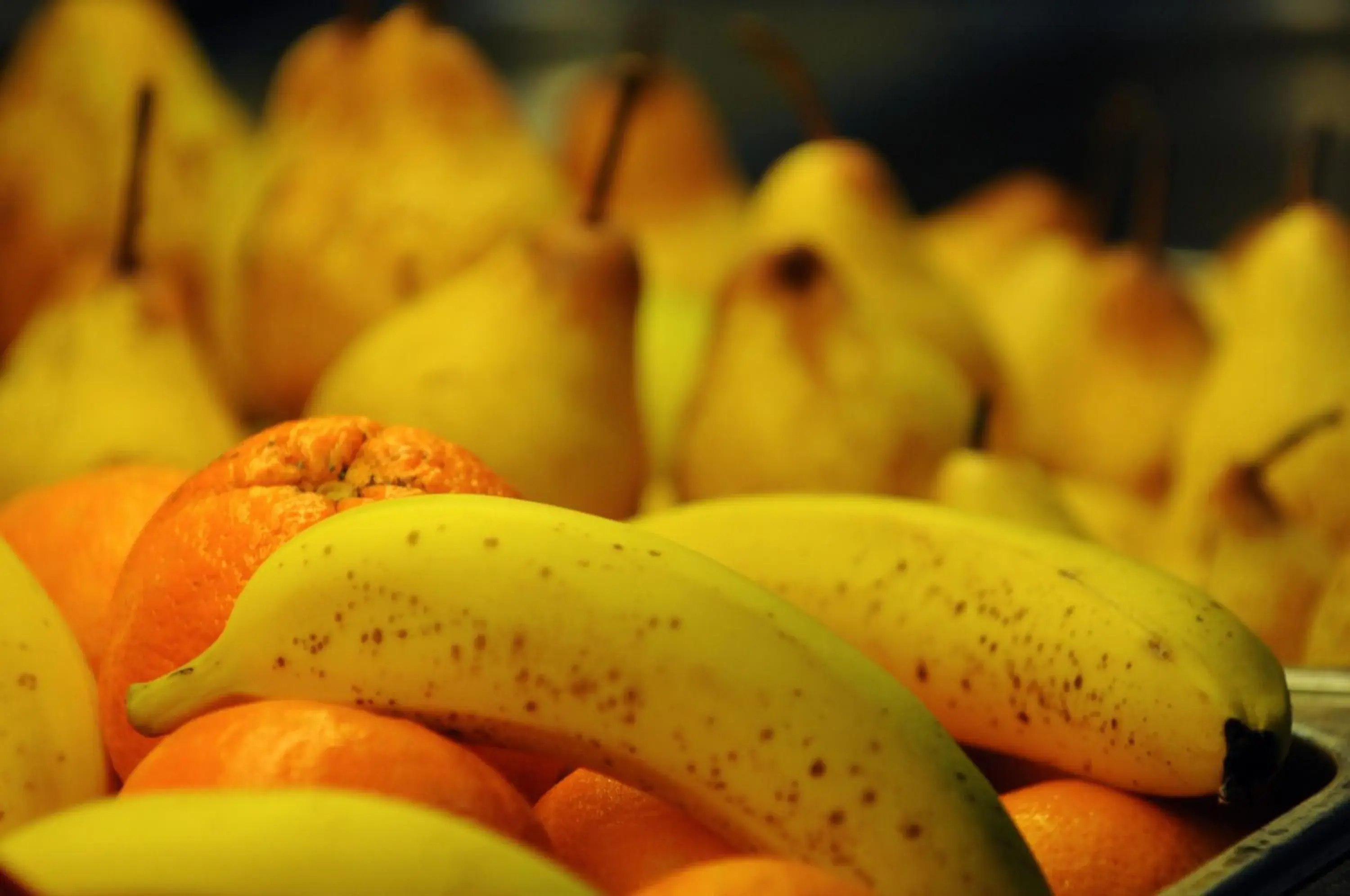 Superior Twin Room in INATEL Foz Do Arelho Superior Twin Room in INATEL Foz Do Arelho