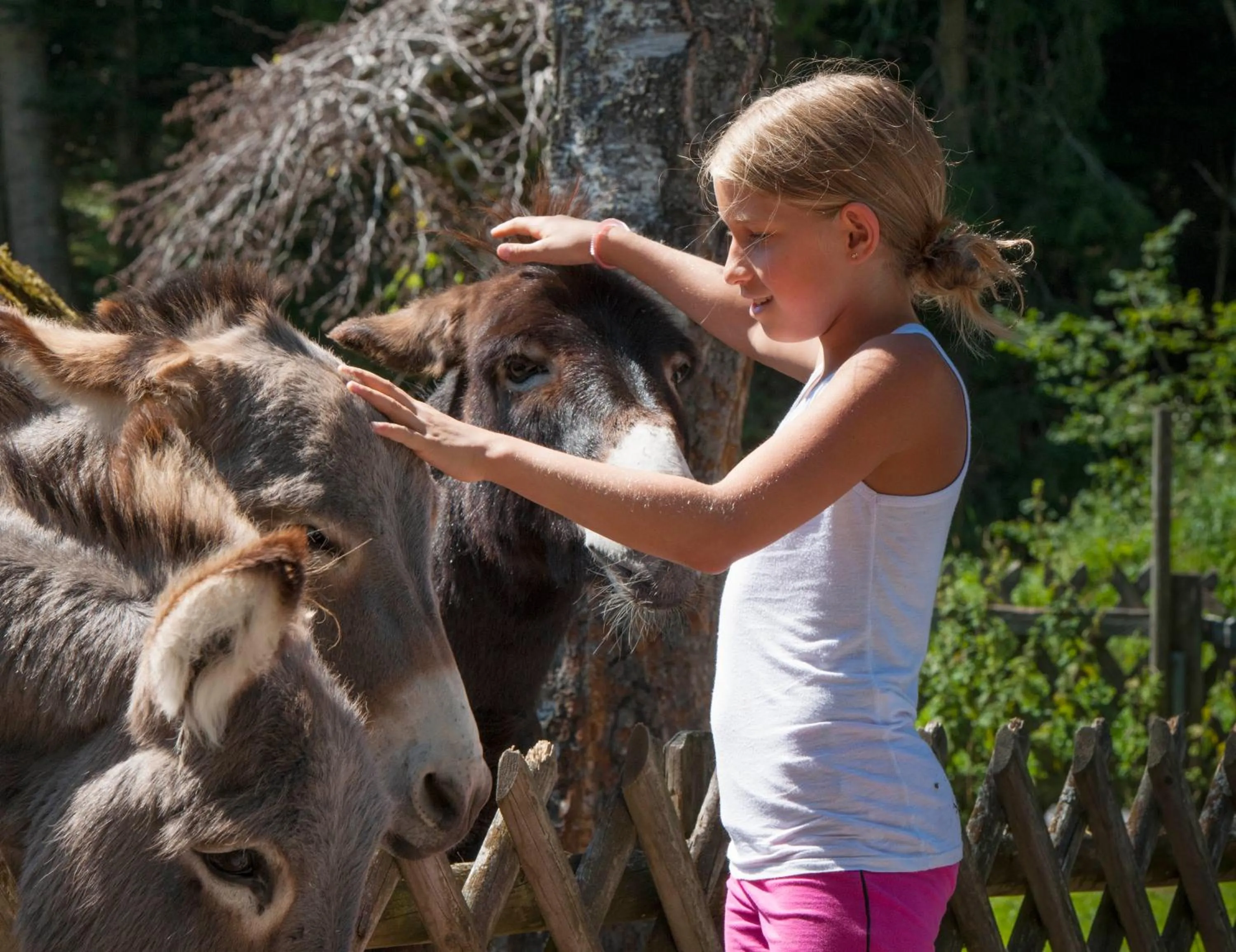Day in Ferienappartements Landhof