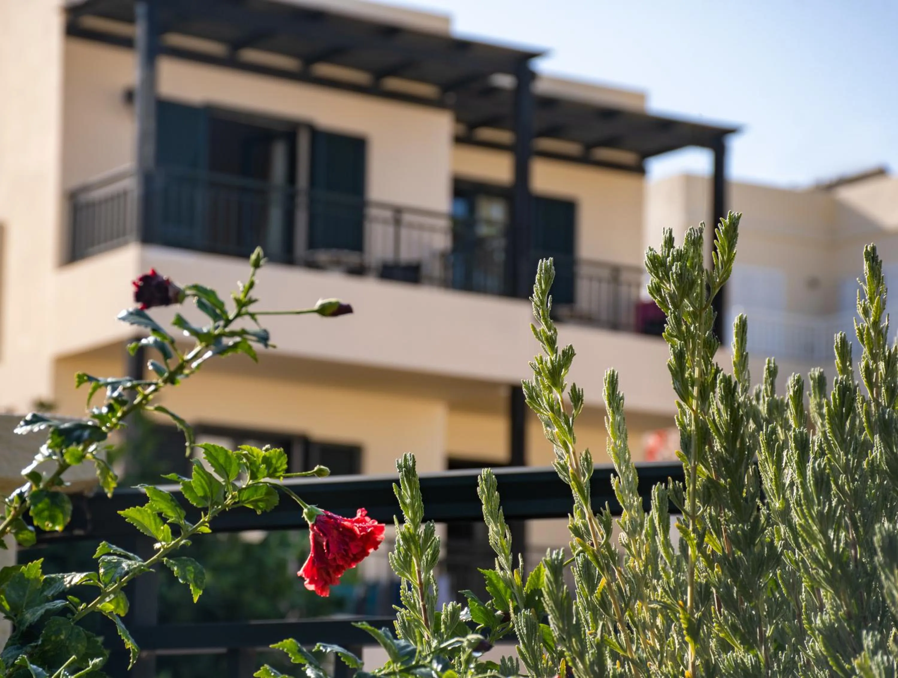 Property building in Anastasia Hotel Stalis