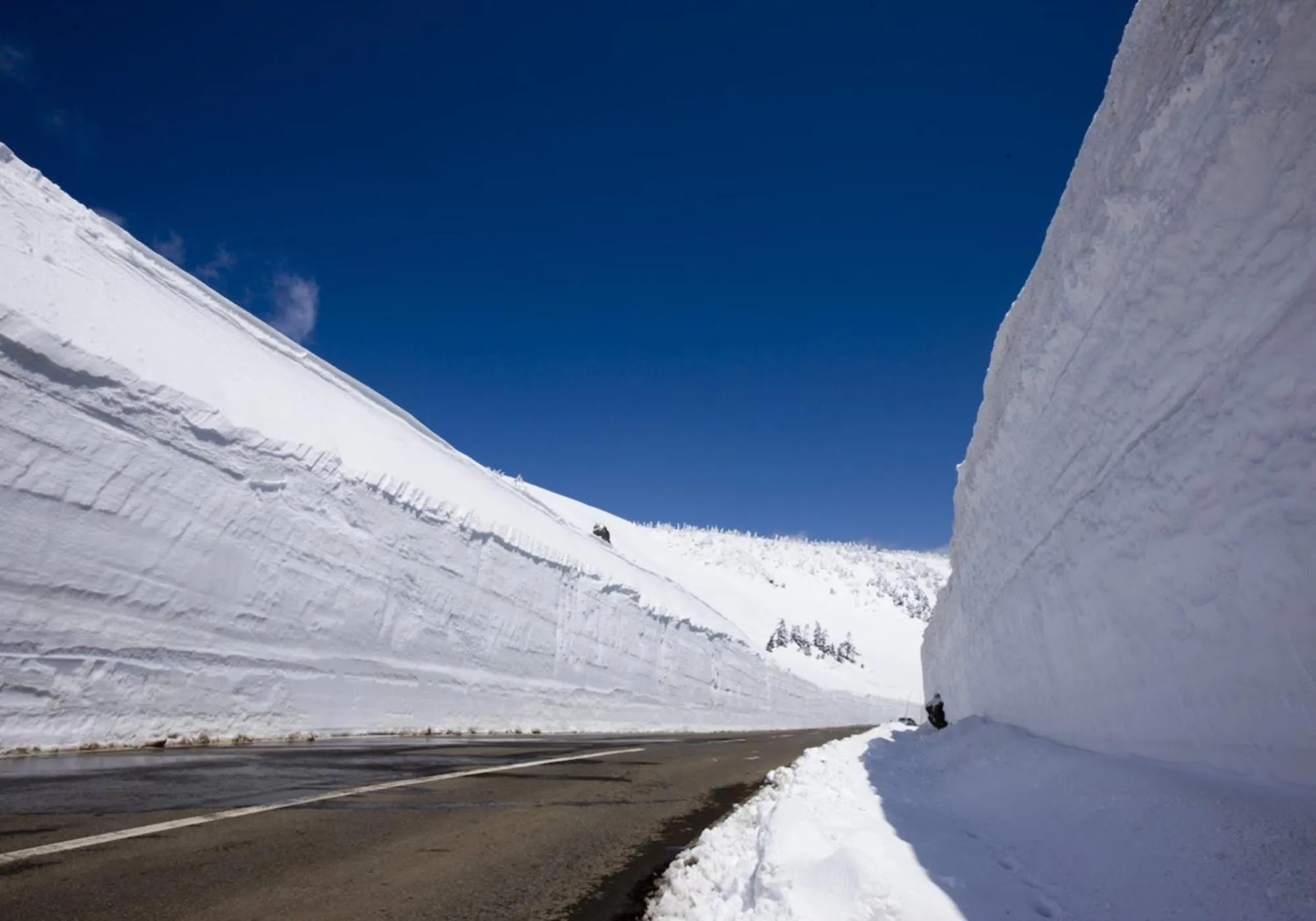 Nearby landmark in Art Hotel Morioka
