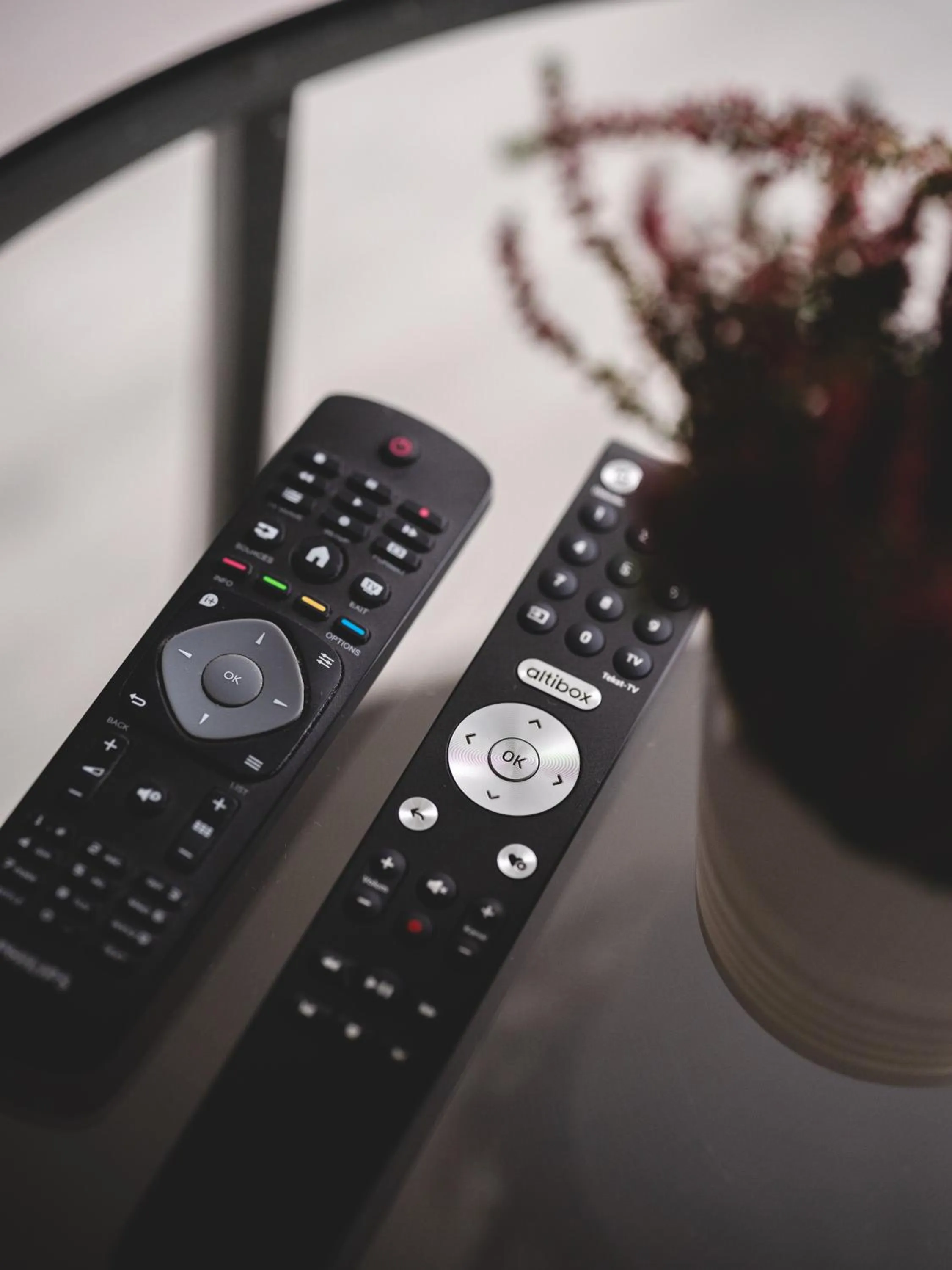 TV and multimedia in Trolltunga Aparthotel