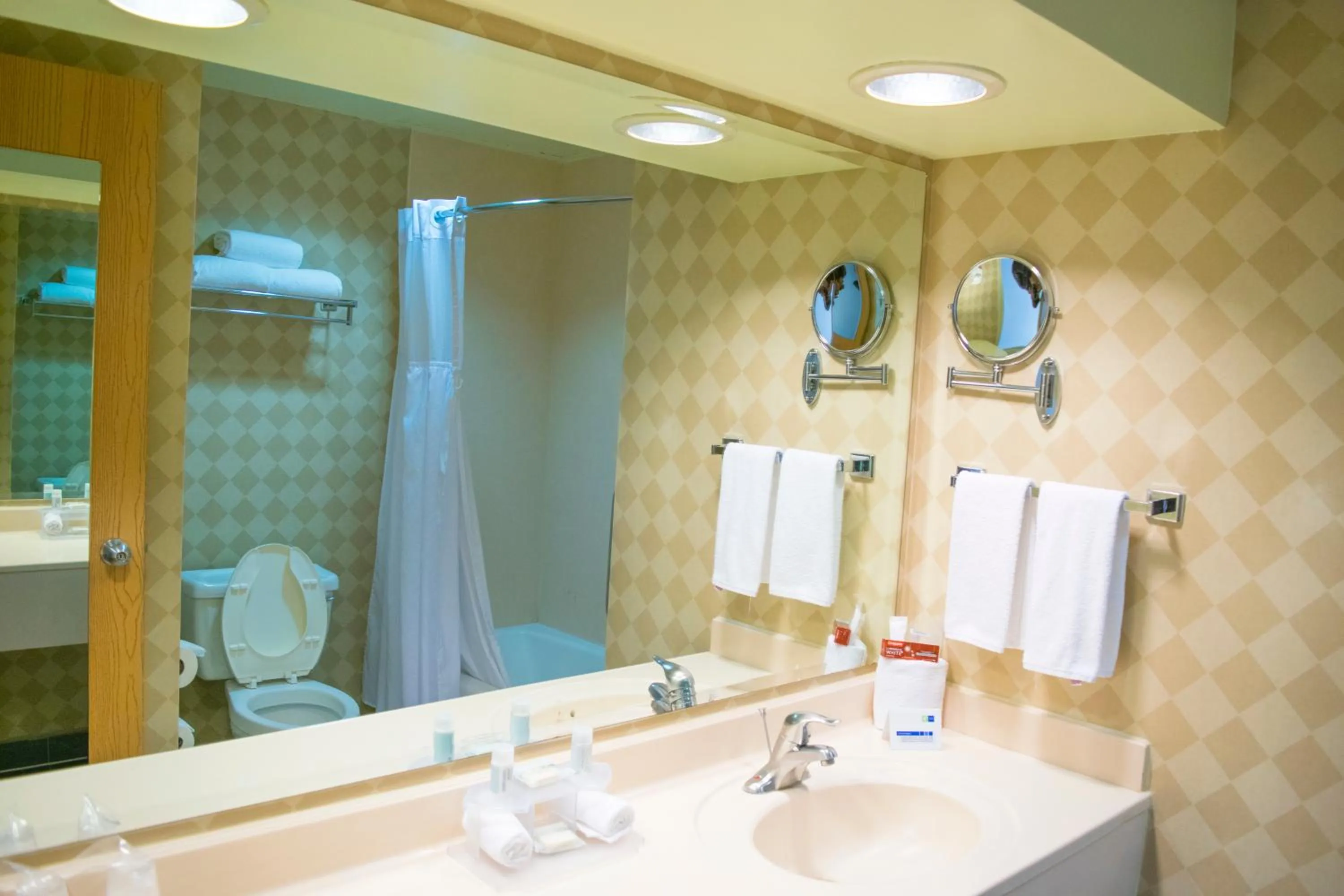 Bathroom in Holiday Inn Express Guanajuato by IHG