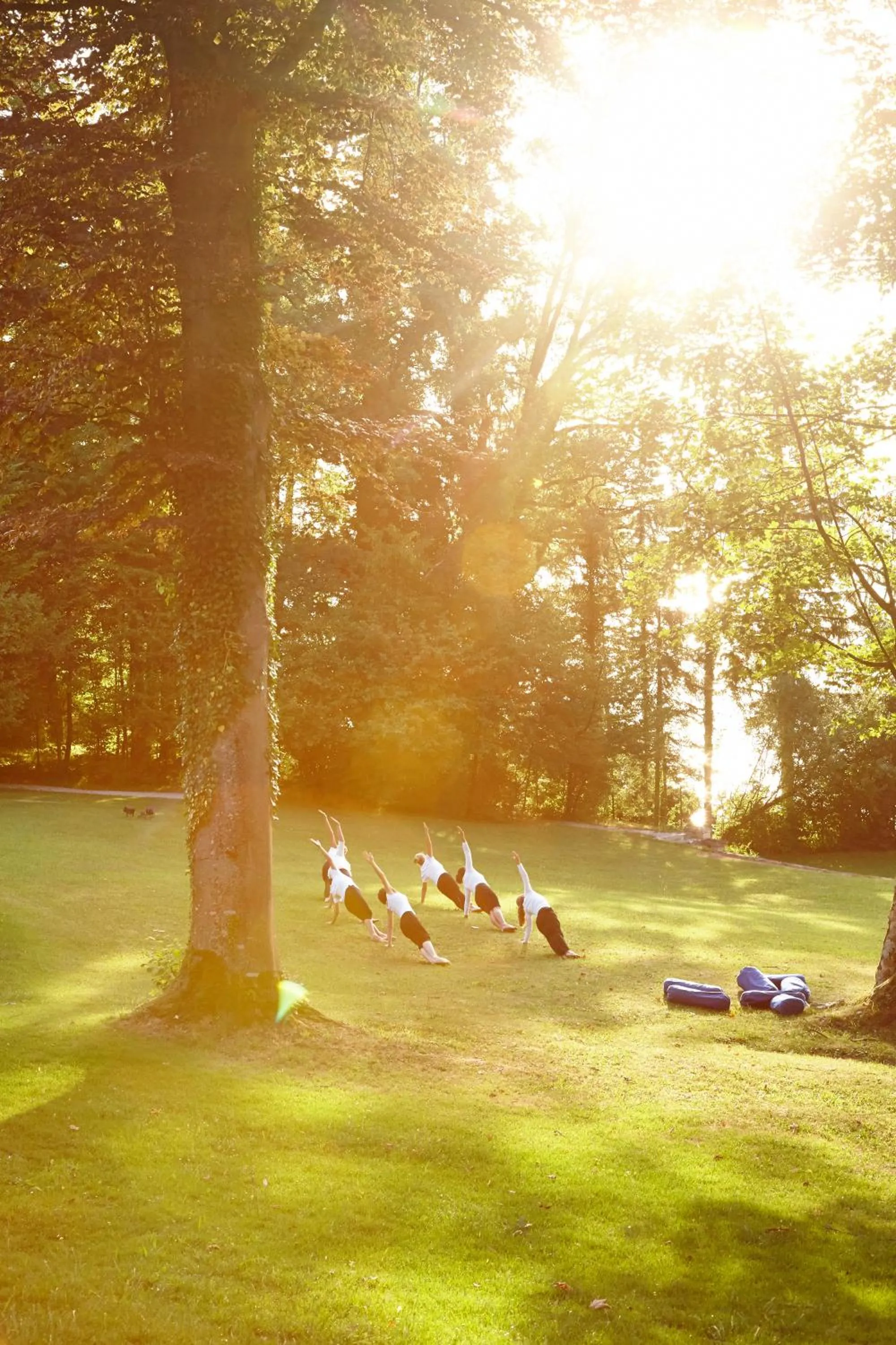 Garden in LA VILLA am Starnberger See