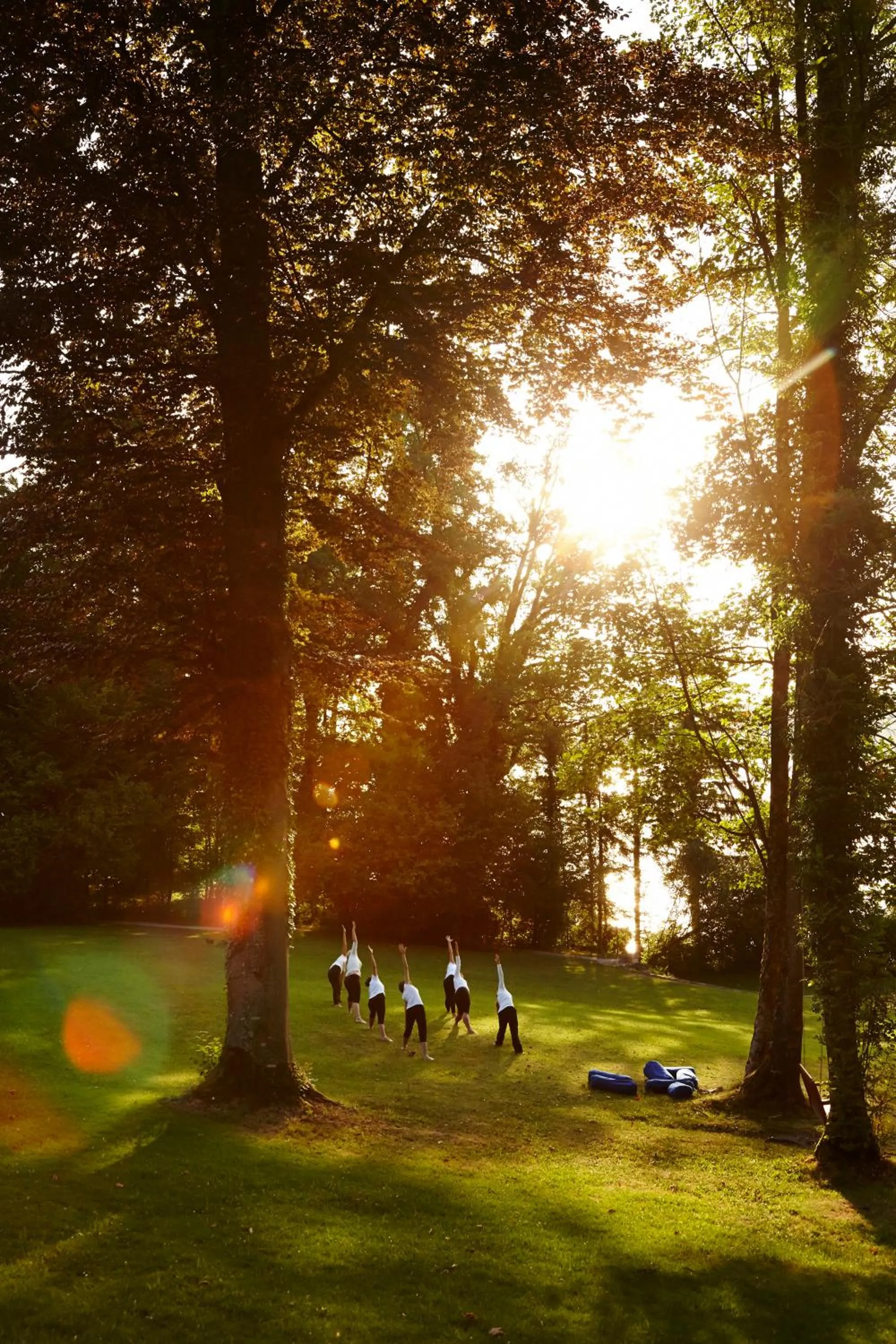 Garden view in LA VILLA am Starnberger See