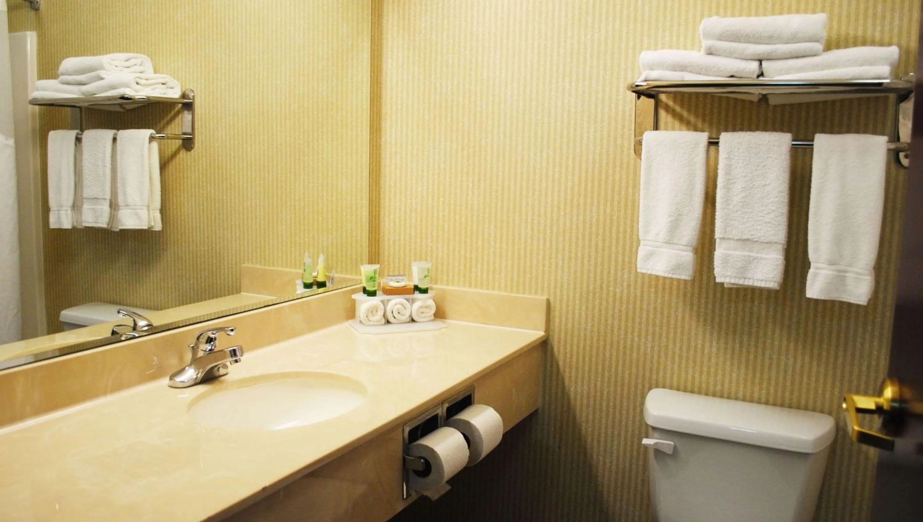 Bathroom in Magnuson Hotel Commerce